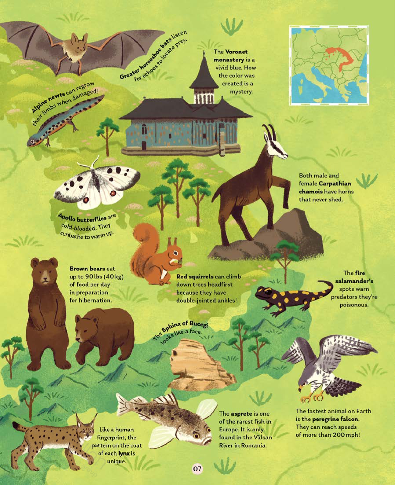 The Wild Atlas