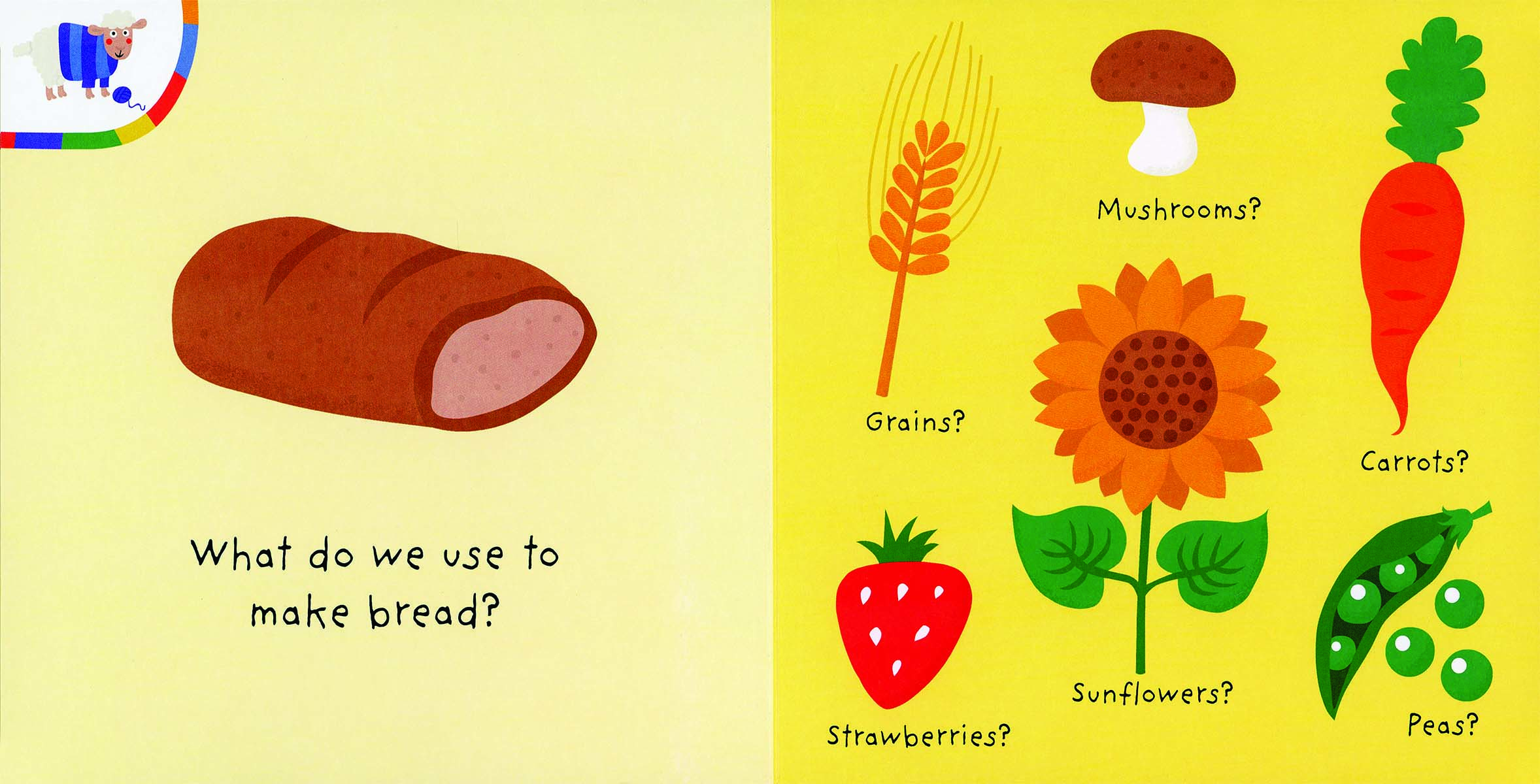 Farm, My Colorful Quiz