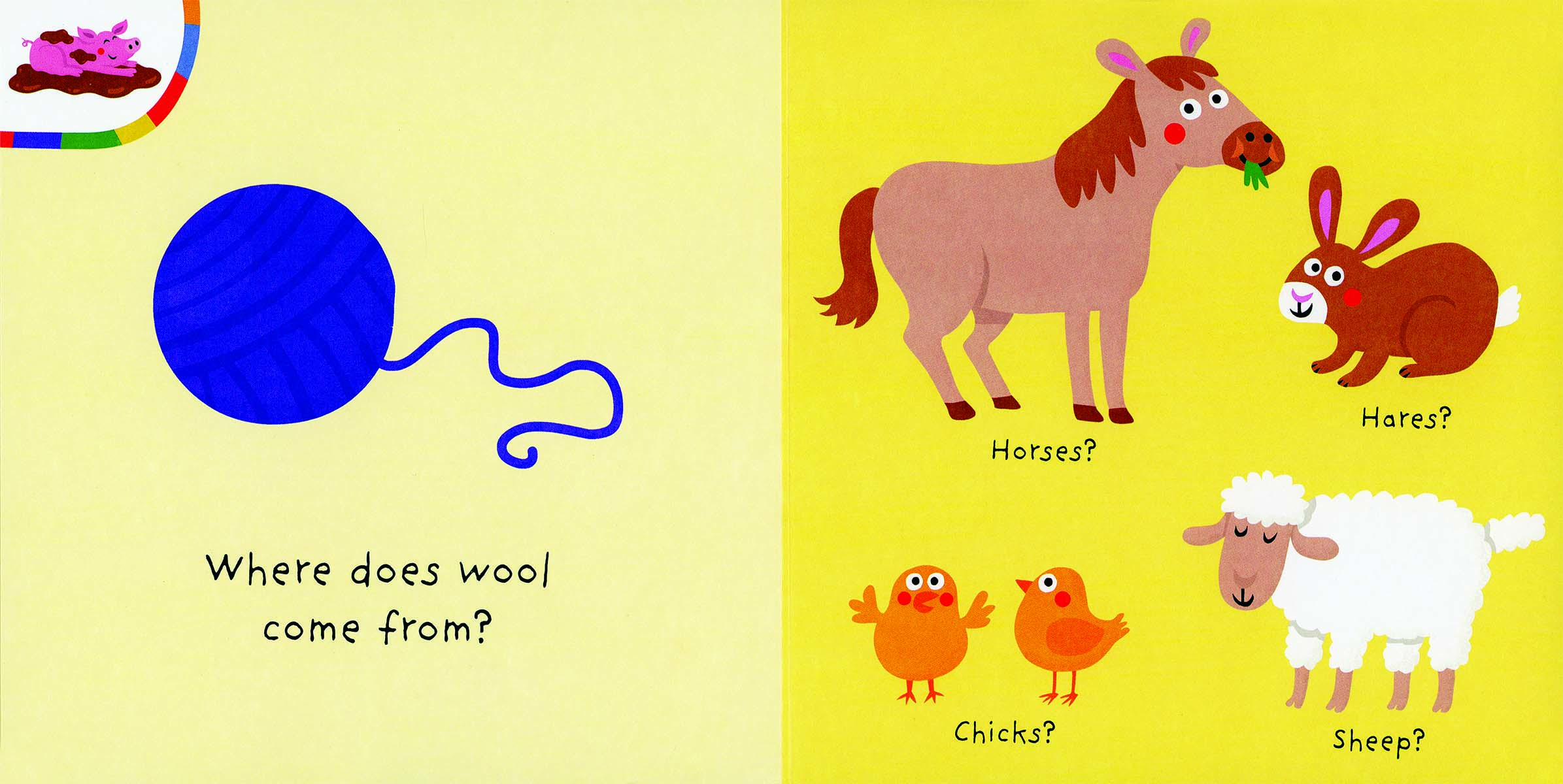 Farm, My Colorful Quiz