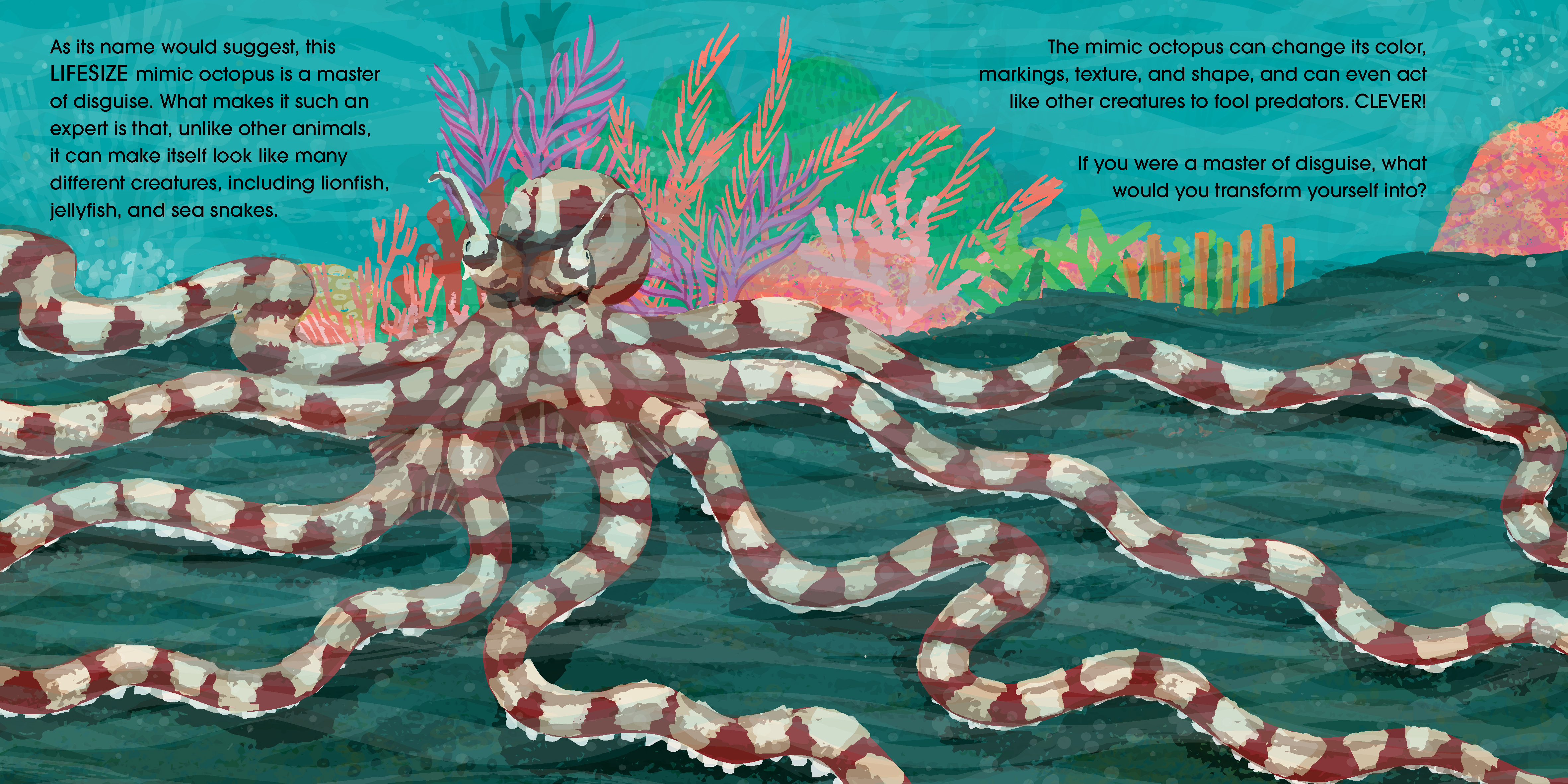 Lifesize Ocean Animals