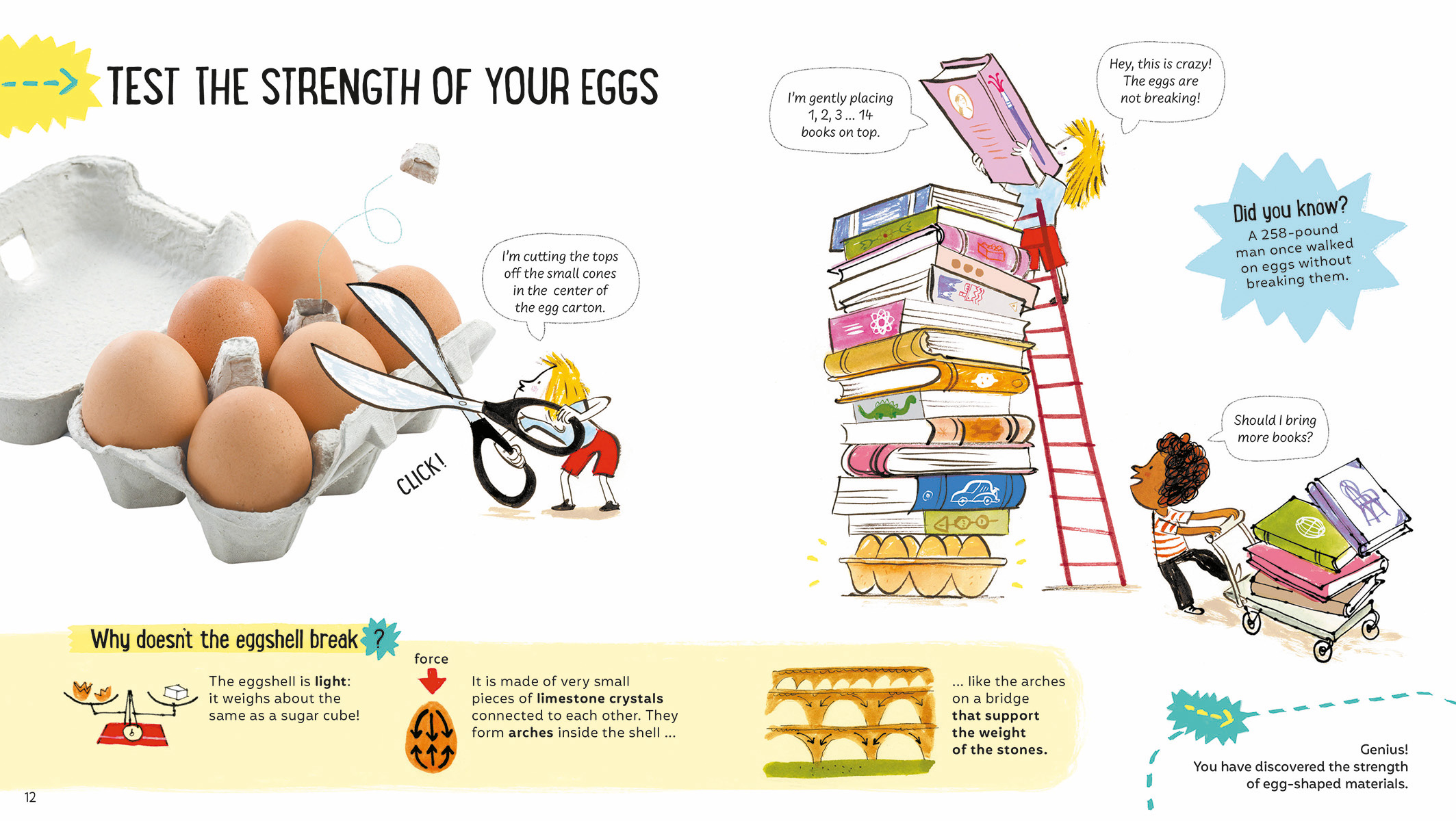 Eggs