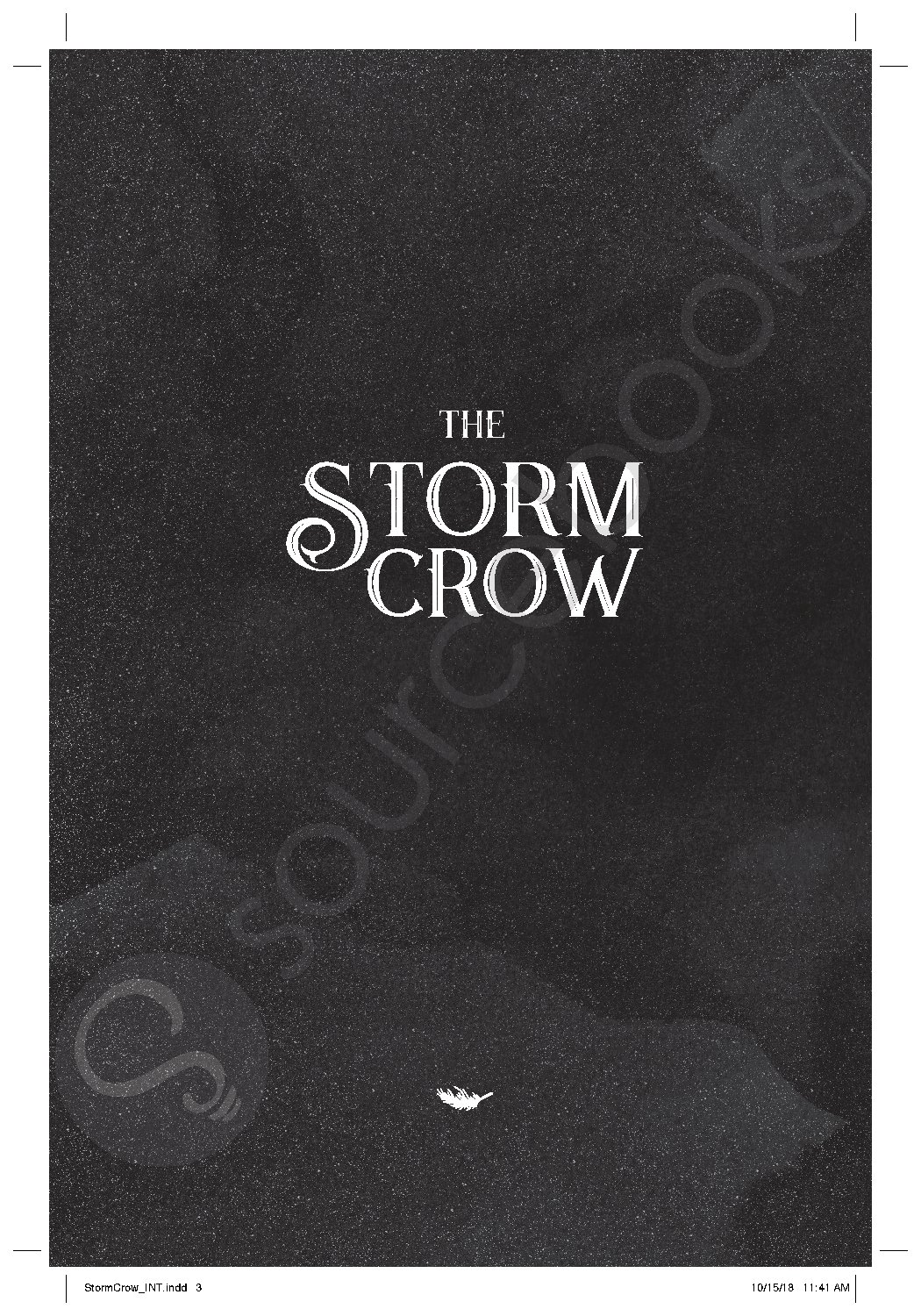 The Storm Crow