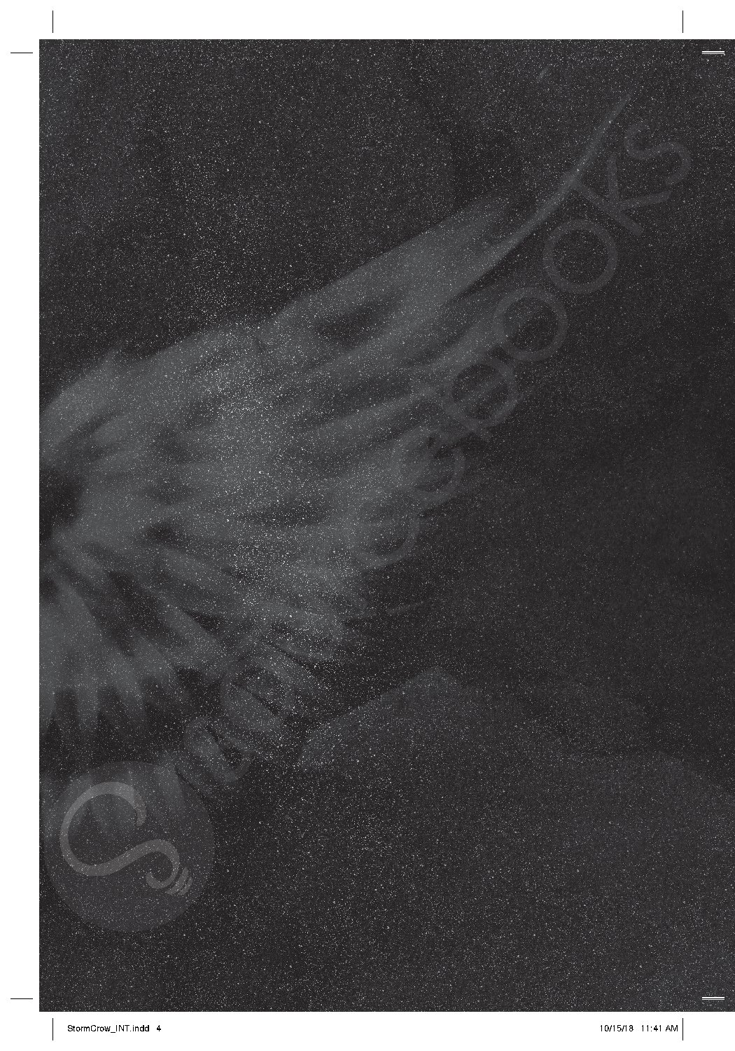 The Storm Crow