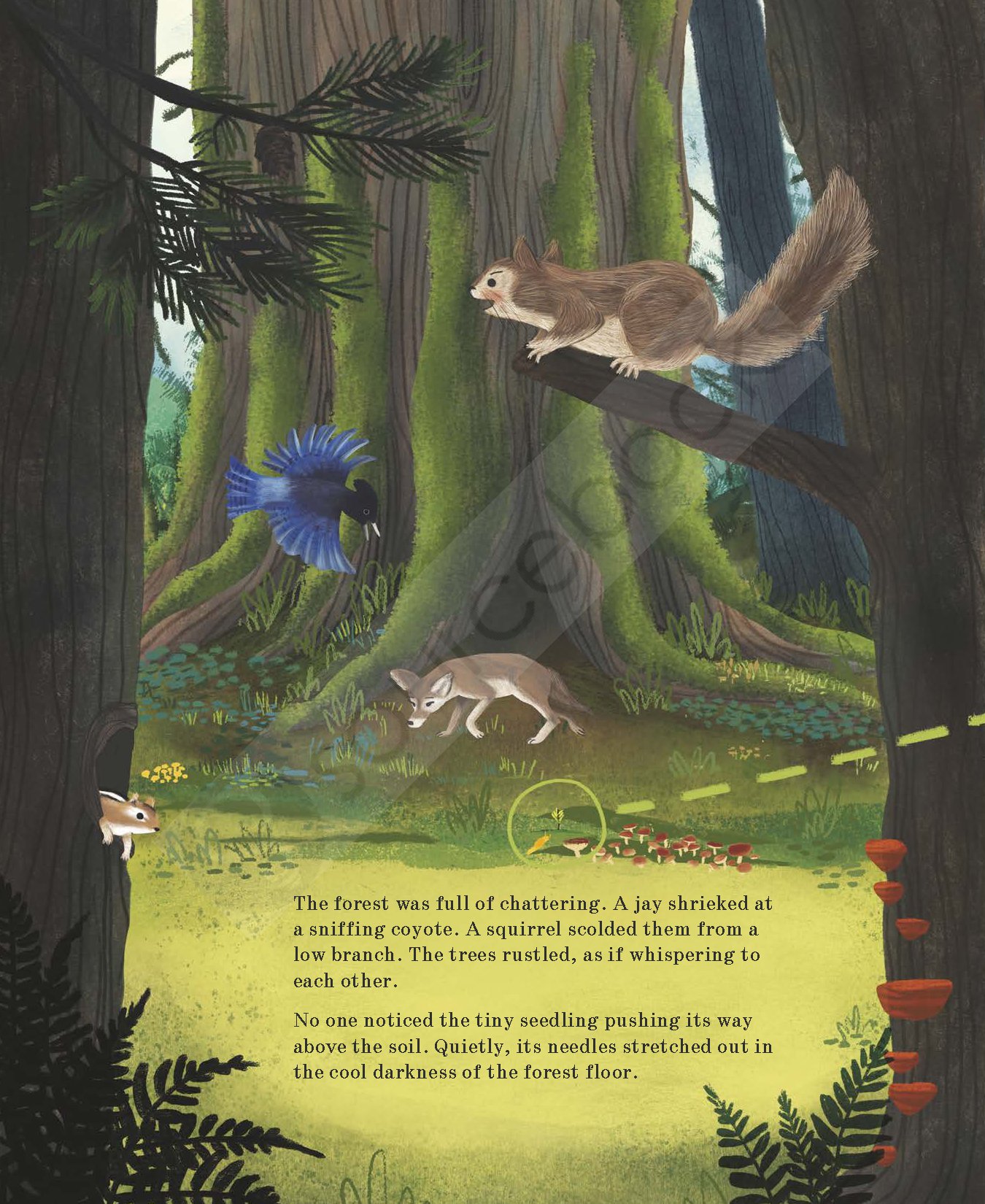 Listen to the Language of the Trees
