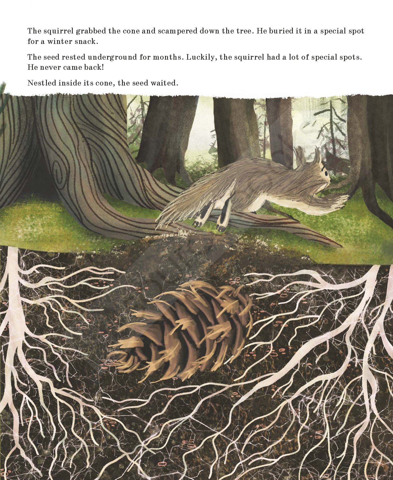 Listen to the Language of the Trees