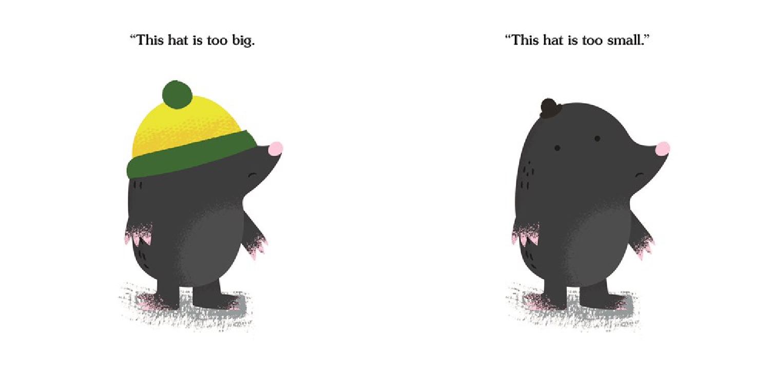Is That My Hat?