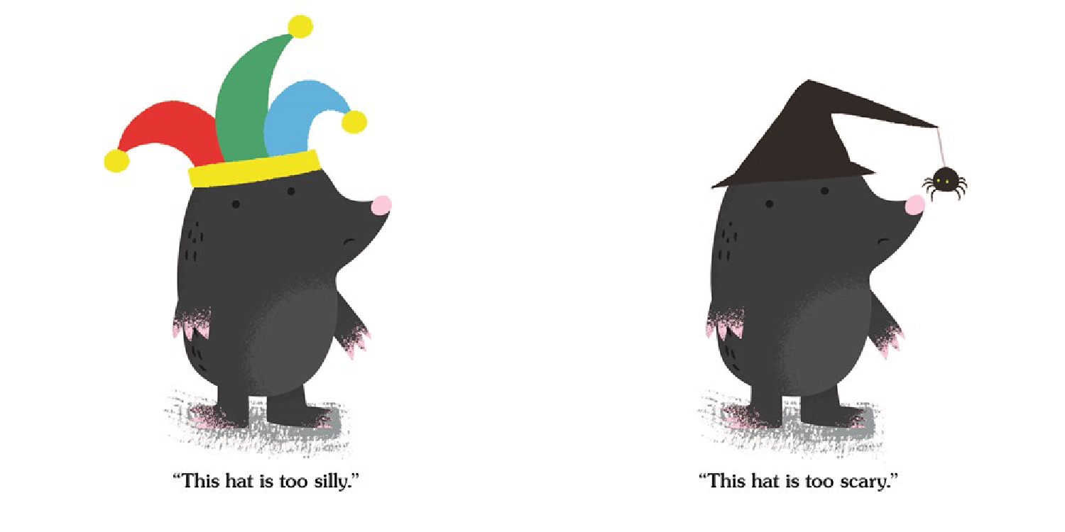 Is That My Hat?