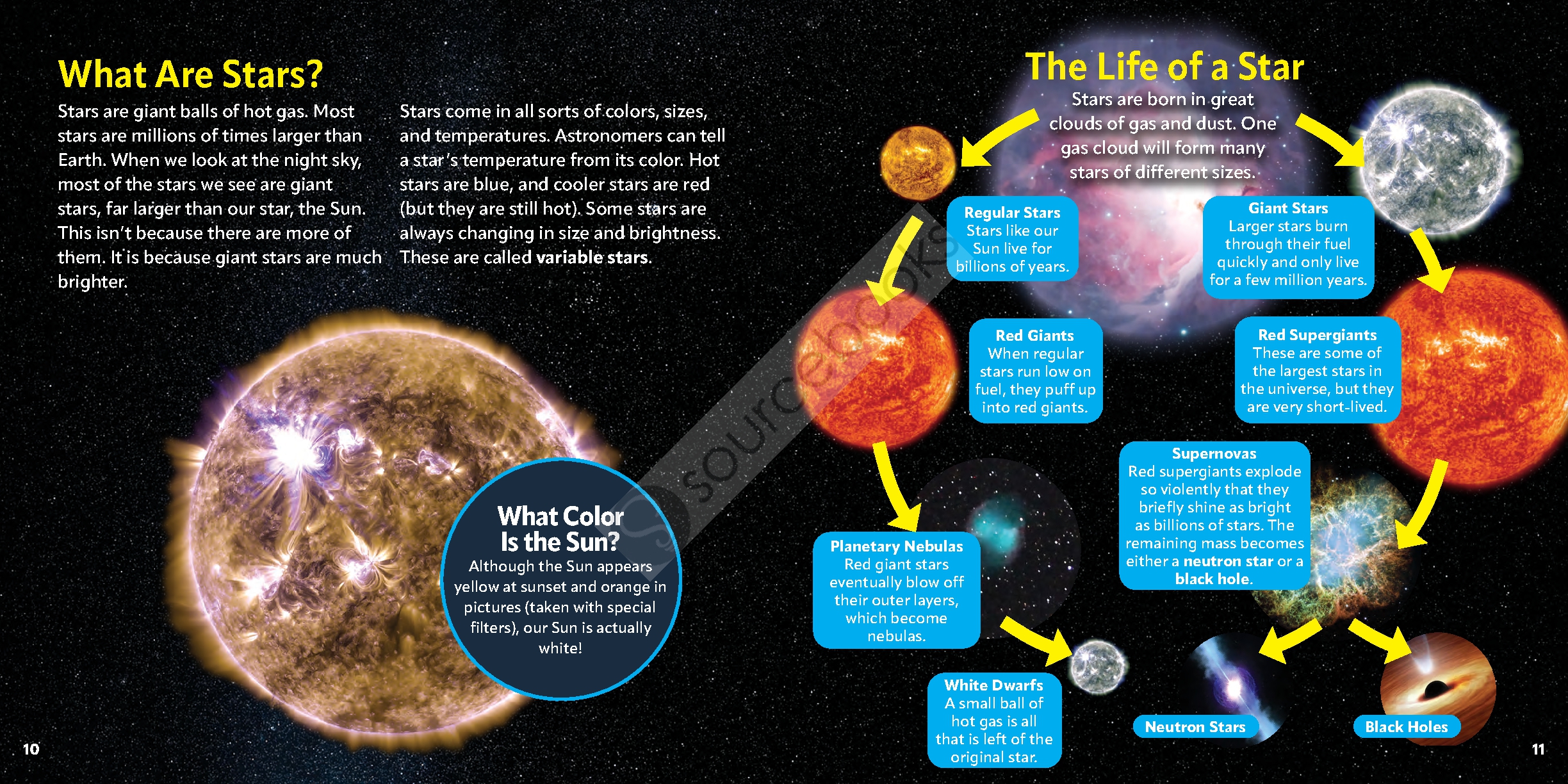 A Kid's Guide to the Night Sky