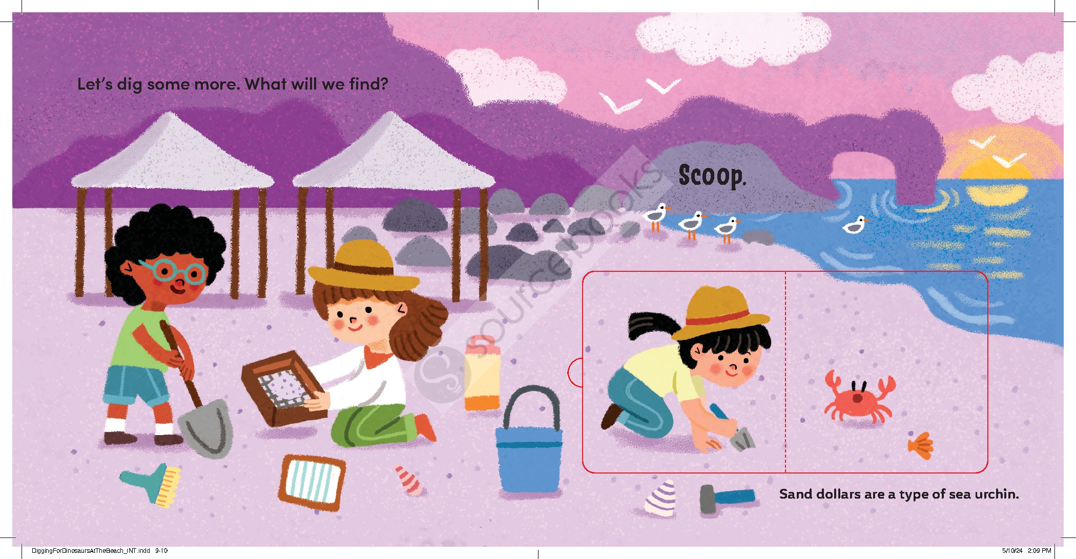 Digging for Dinosaurs: At the Beach