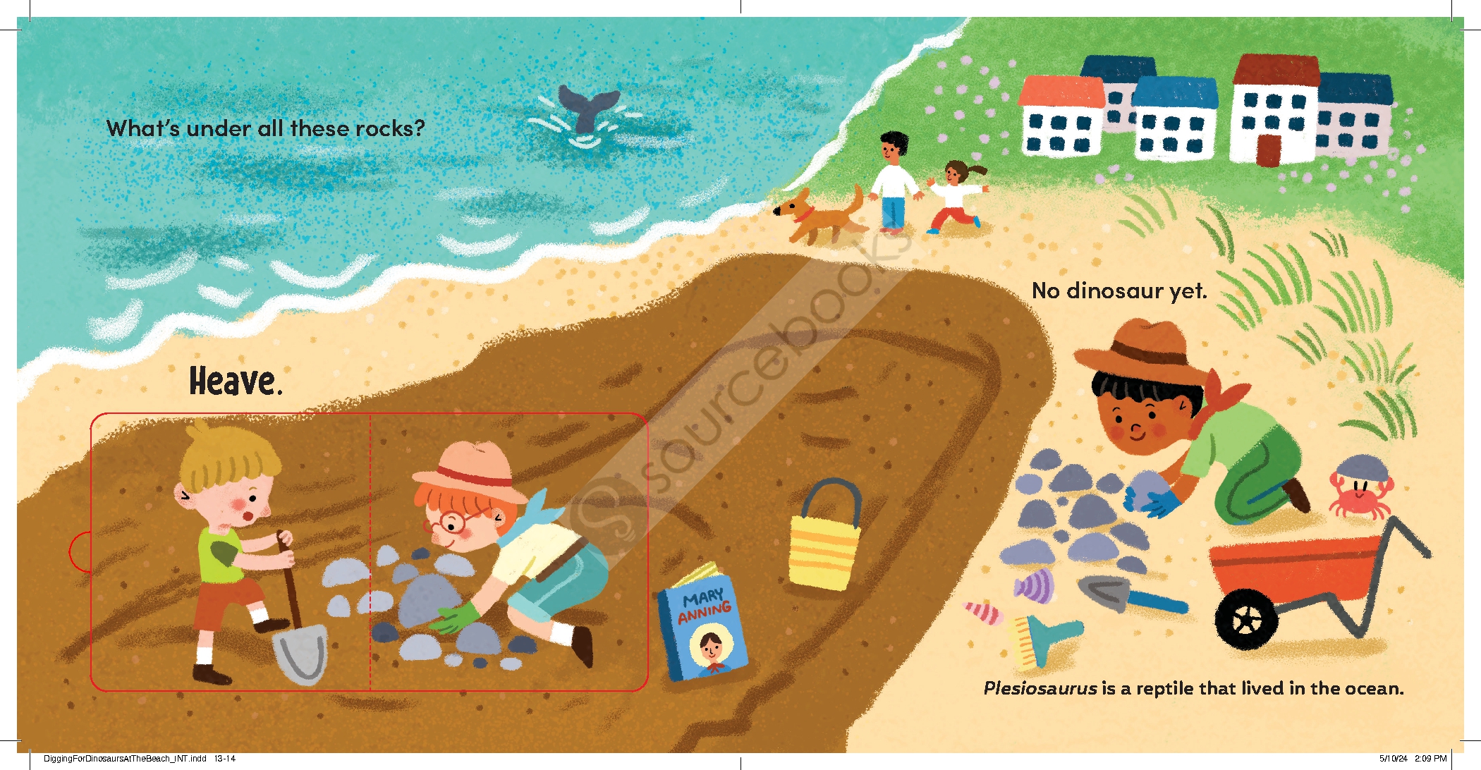 Digging for Dinosaurs: At the Beach