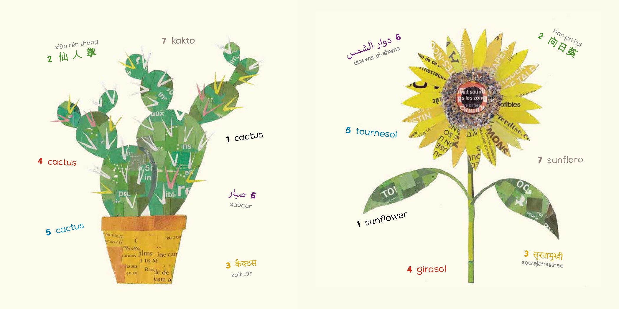 Plants (Multilingual Board Book)
