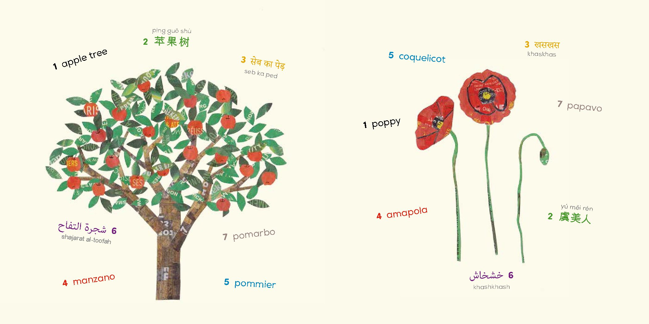 Plants (Multilingual Board Book)