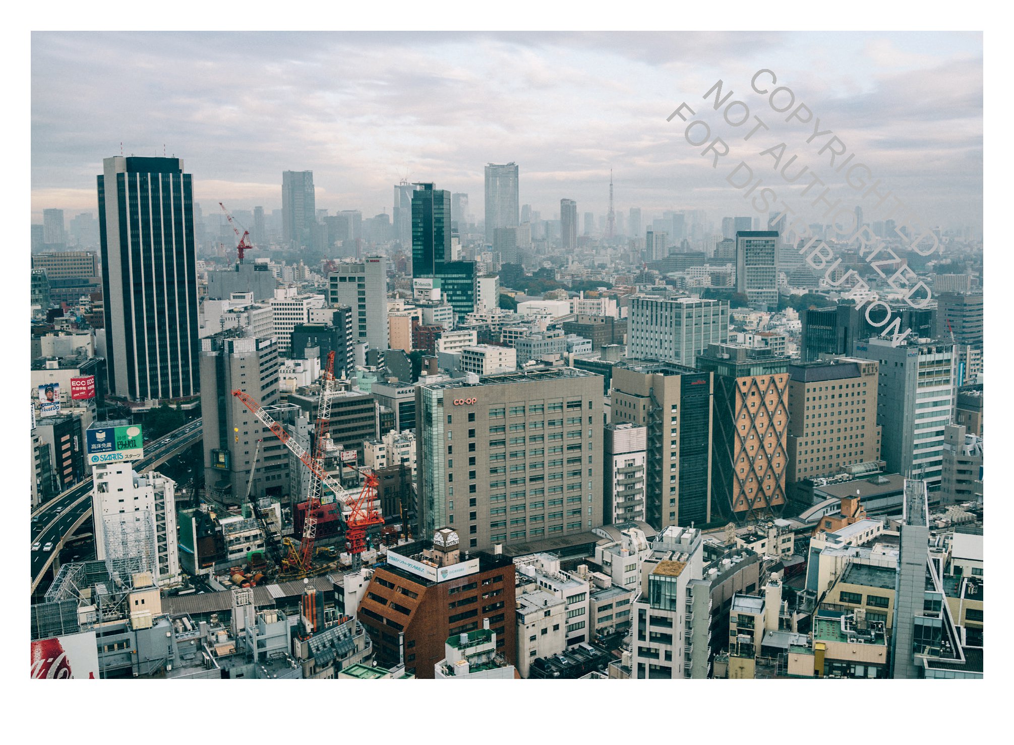 Tokyo for Food Lovers