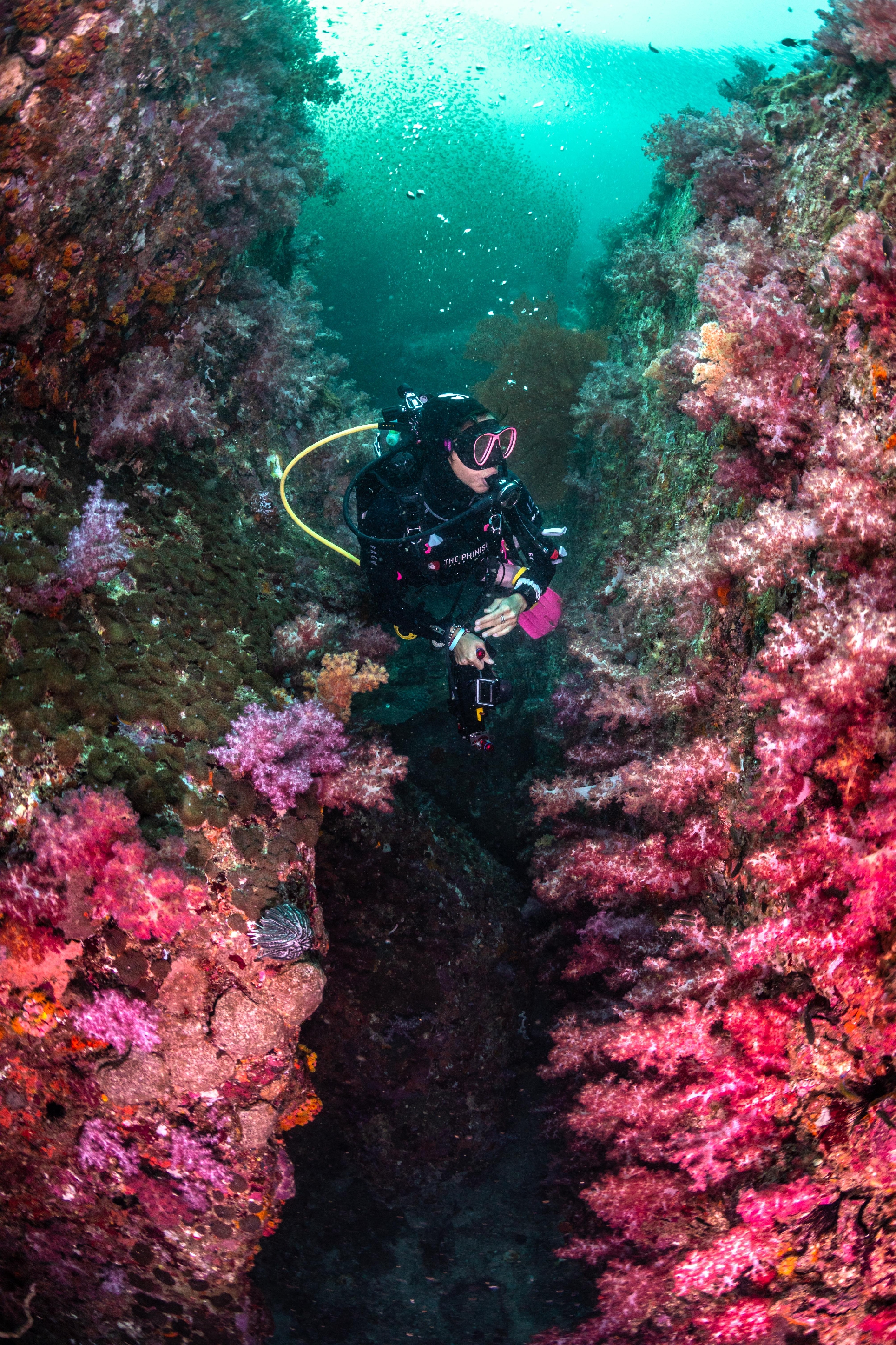 Ultimate Dive Sites