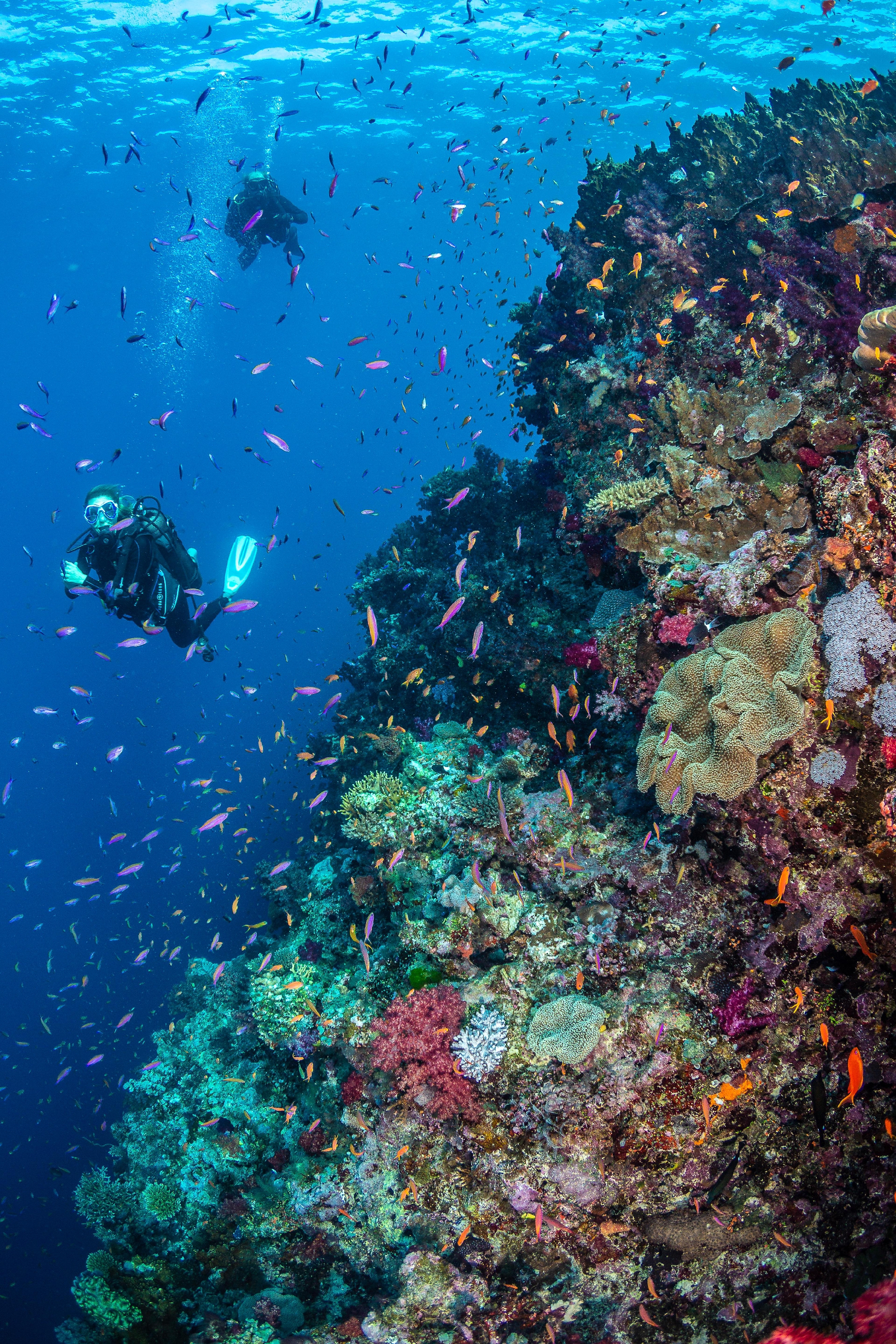 Ultimate Dive Sites