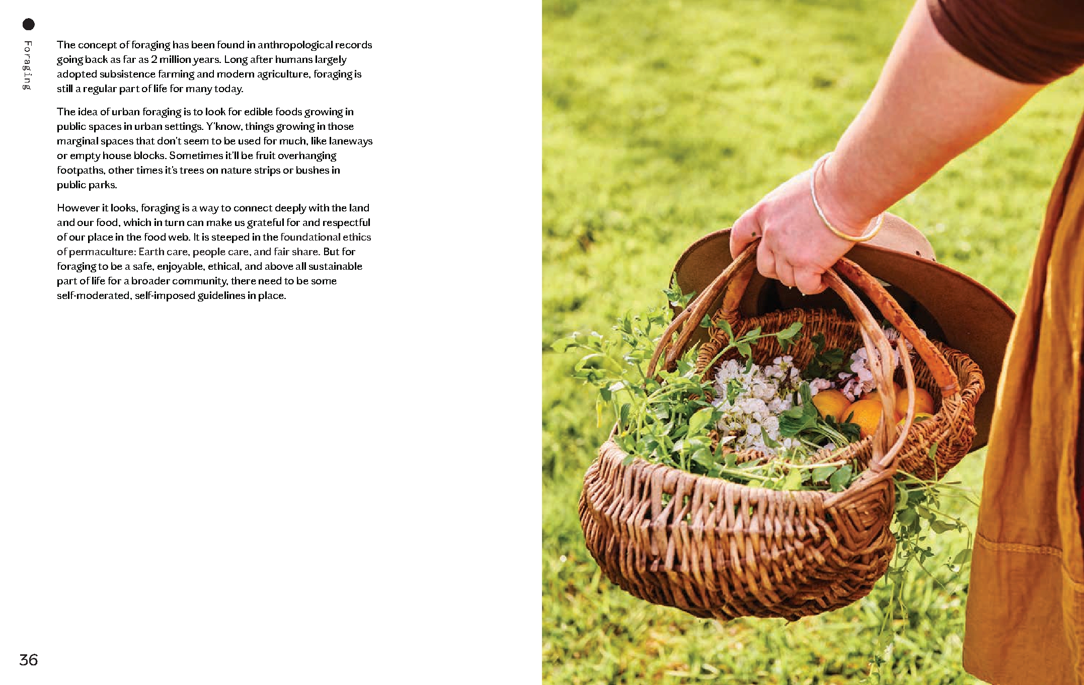 Everyday Permaculture