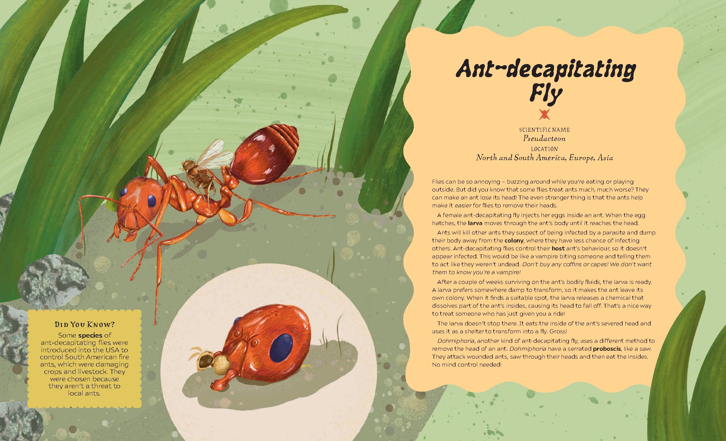 Mind-controlling Bugs