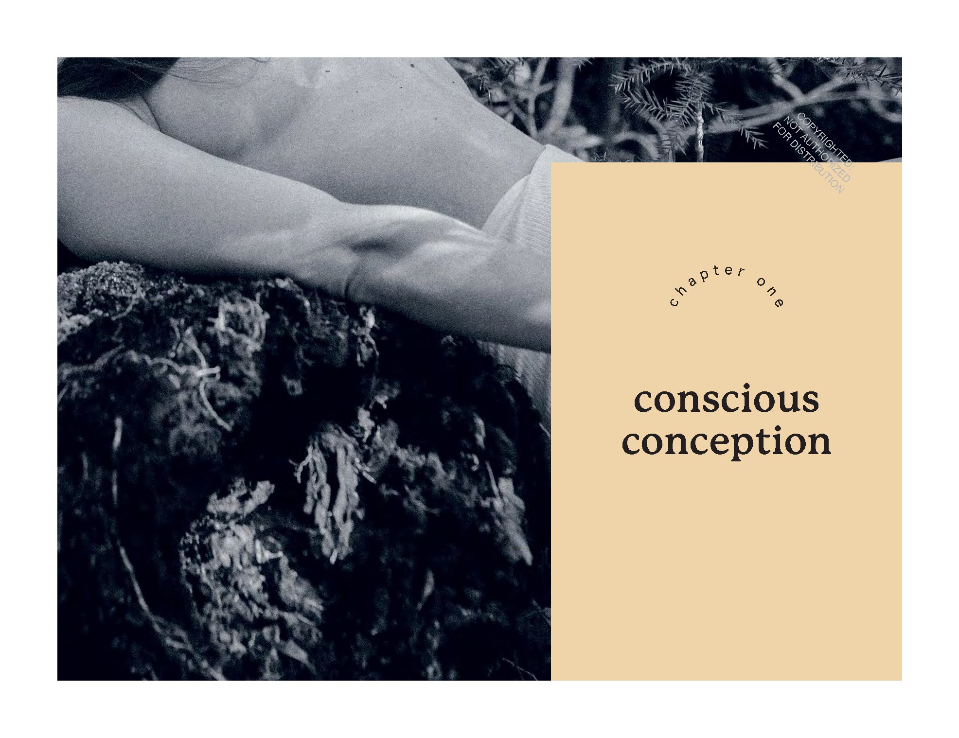 The Birth Space
