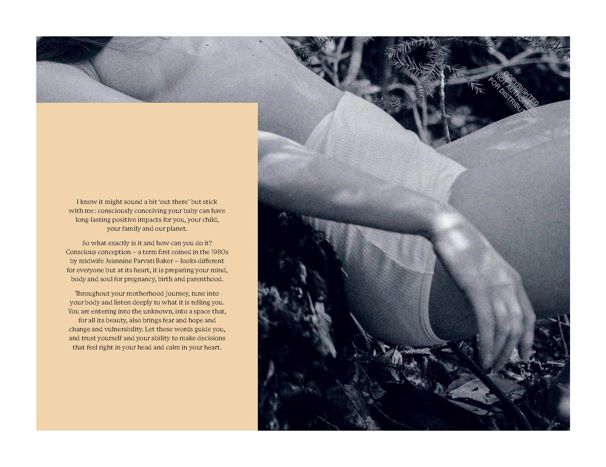 The Birth Space