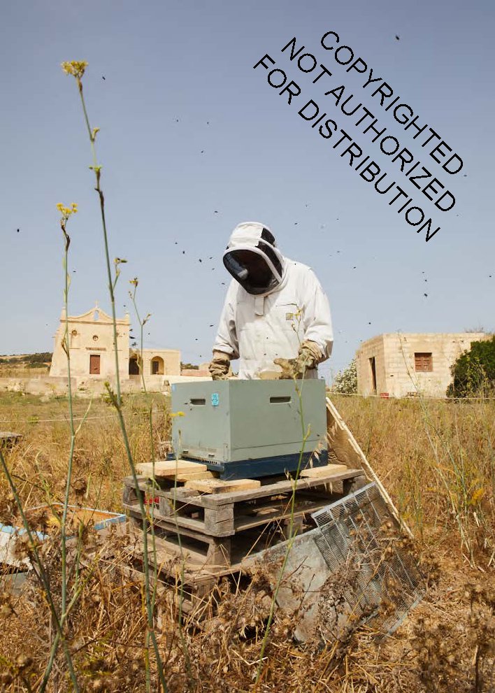 Malta