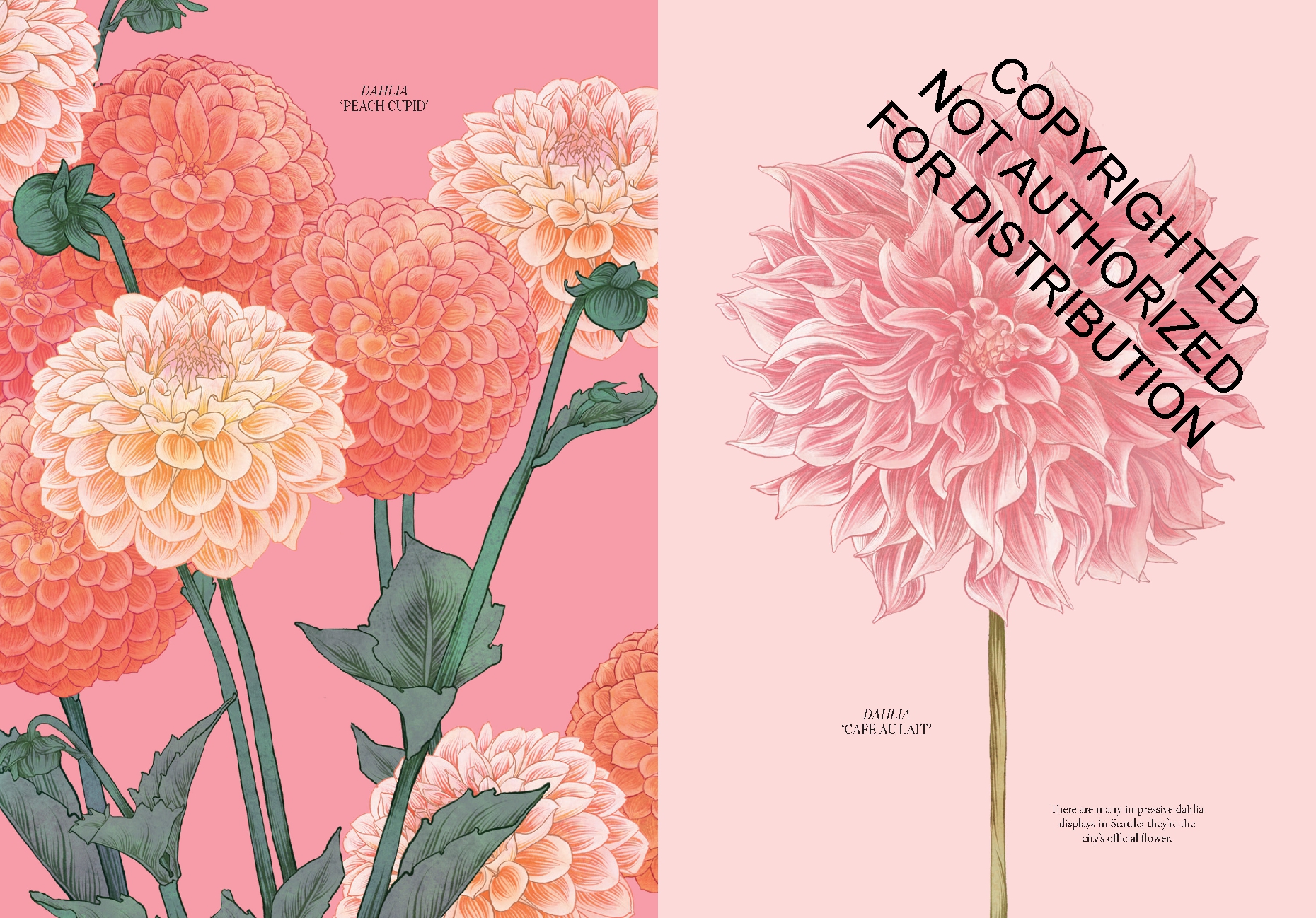 Petal