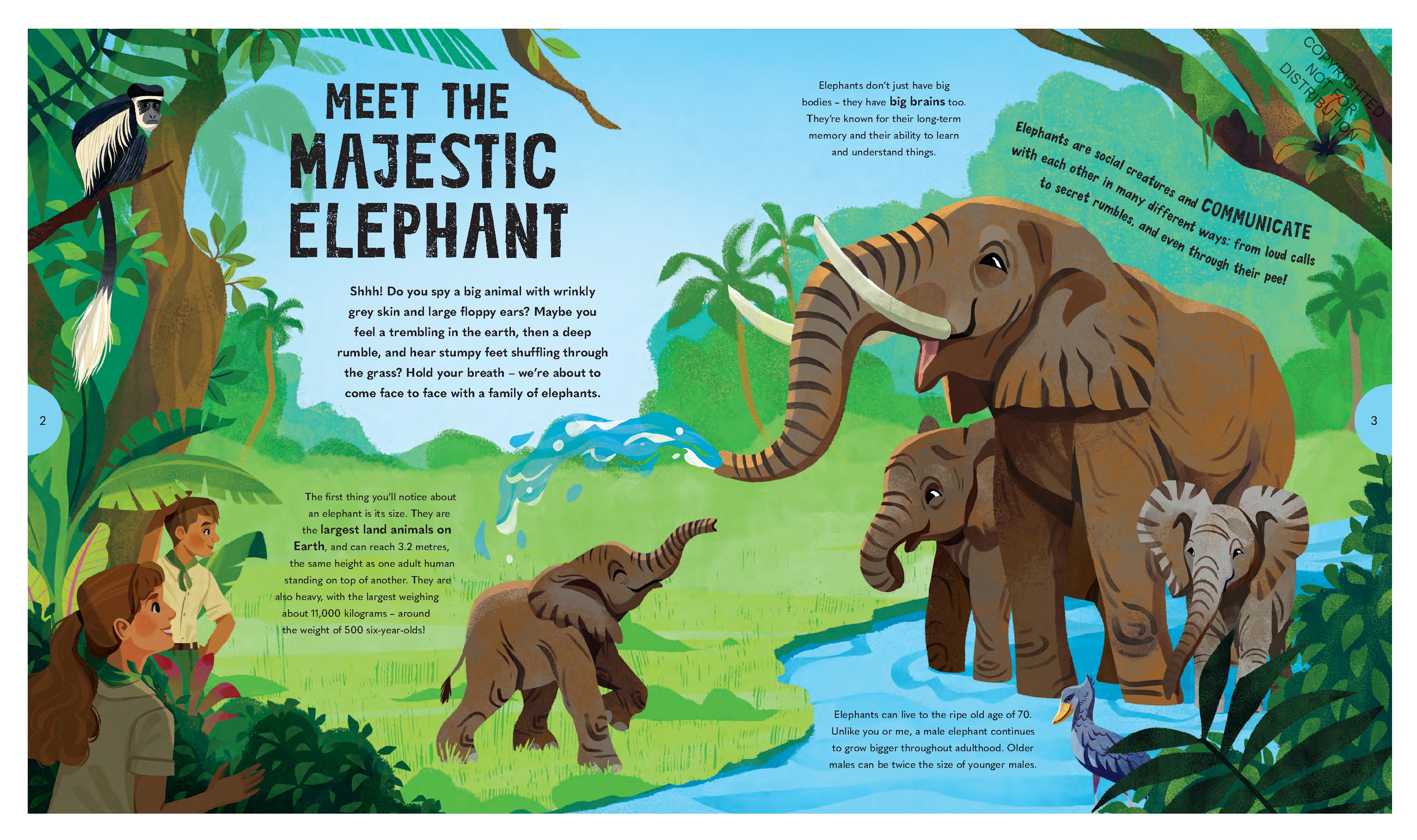 Extraordinary Elephants