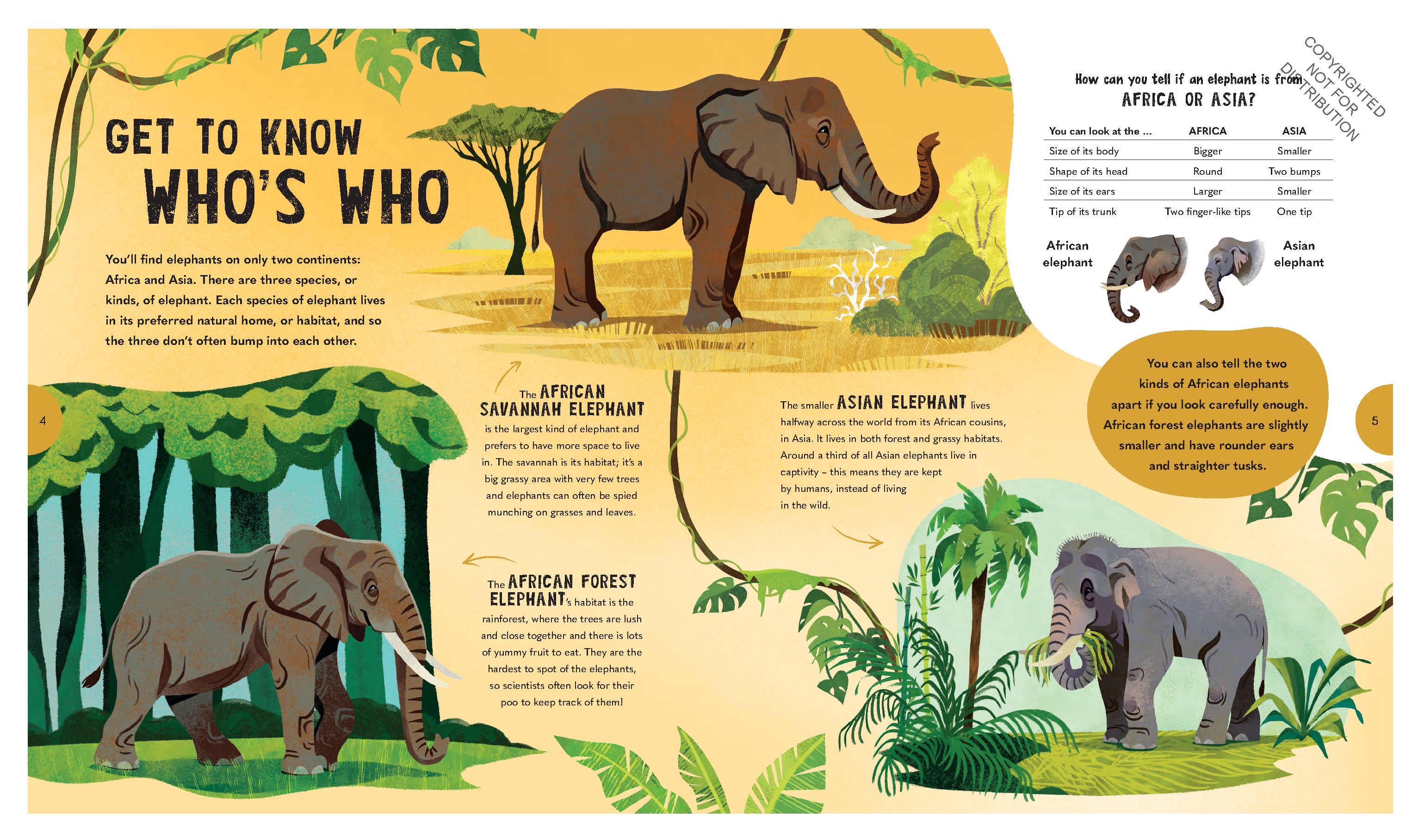 Extraordinary Elephants
