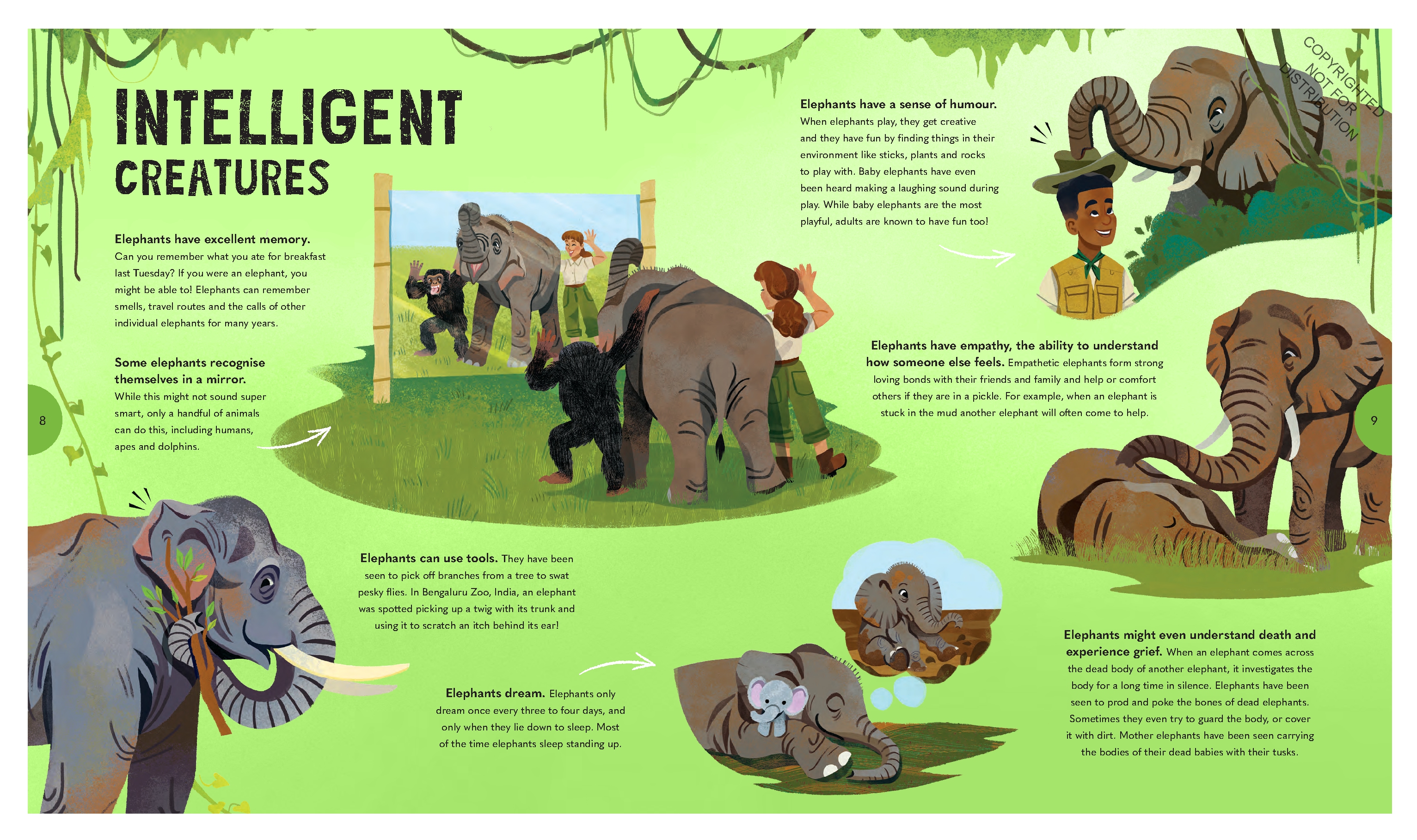 Extraordinary Elephants
