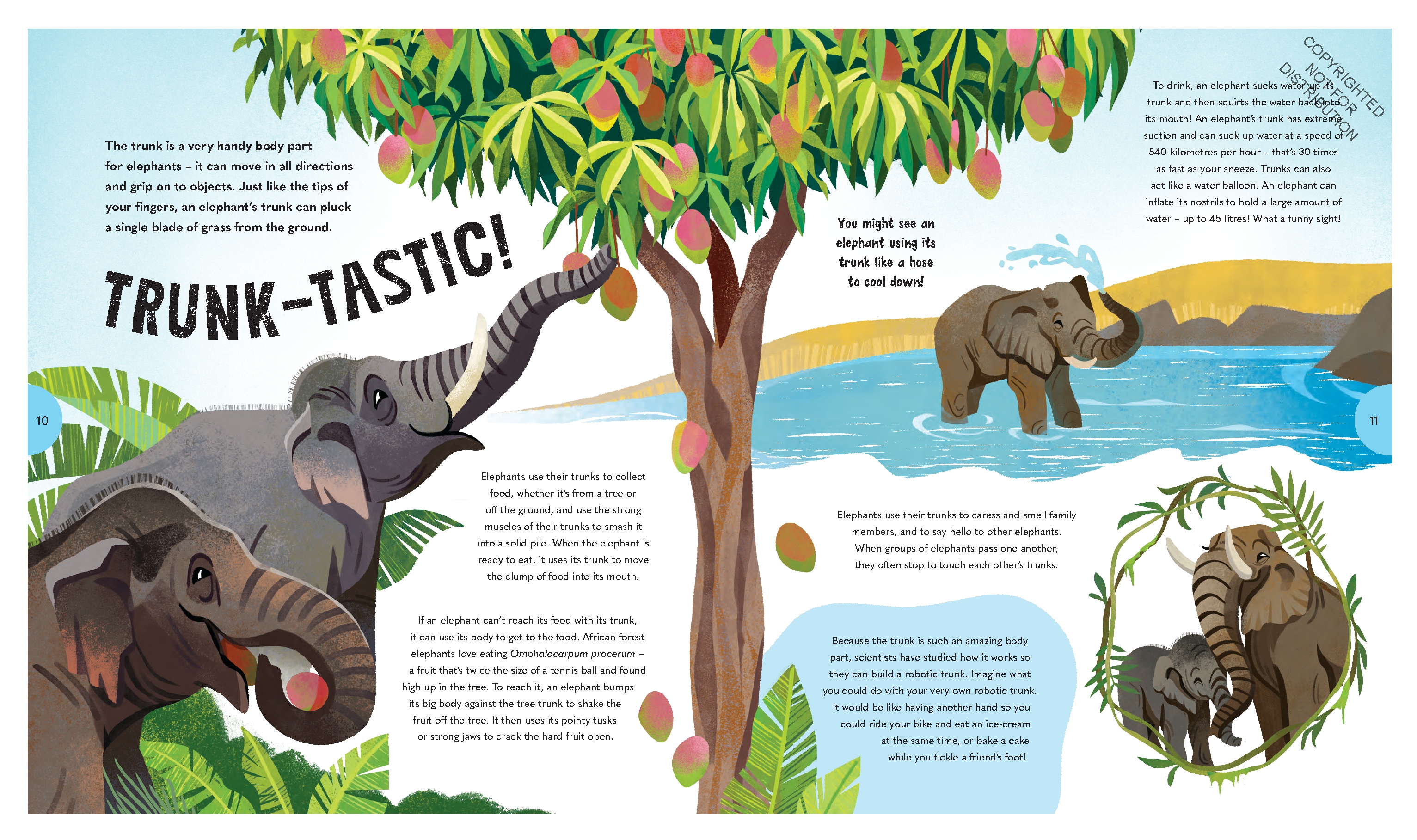 Extraordinary Elephants