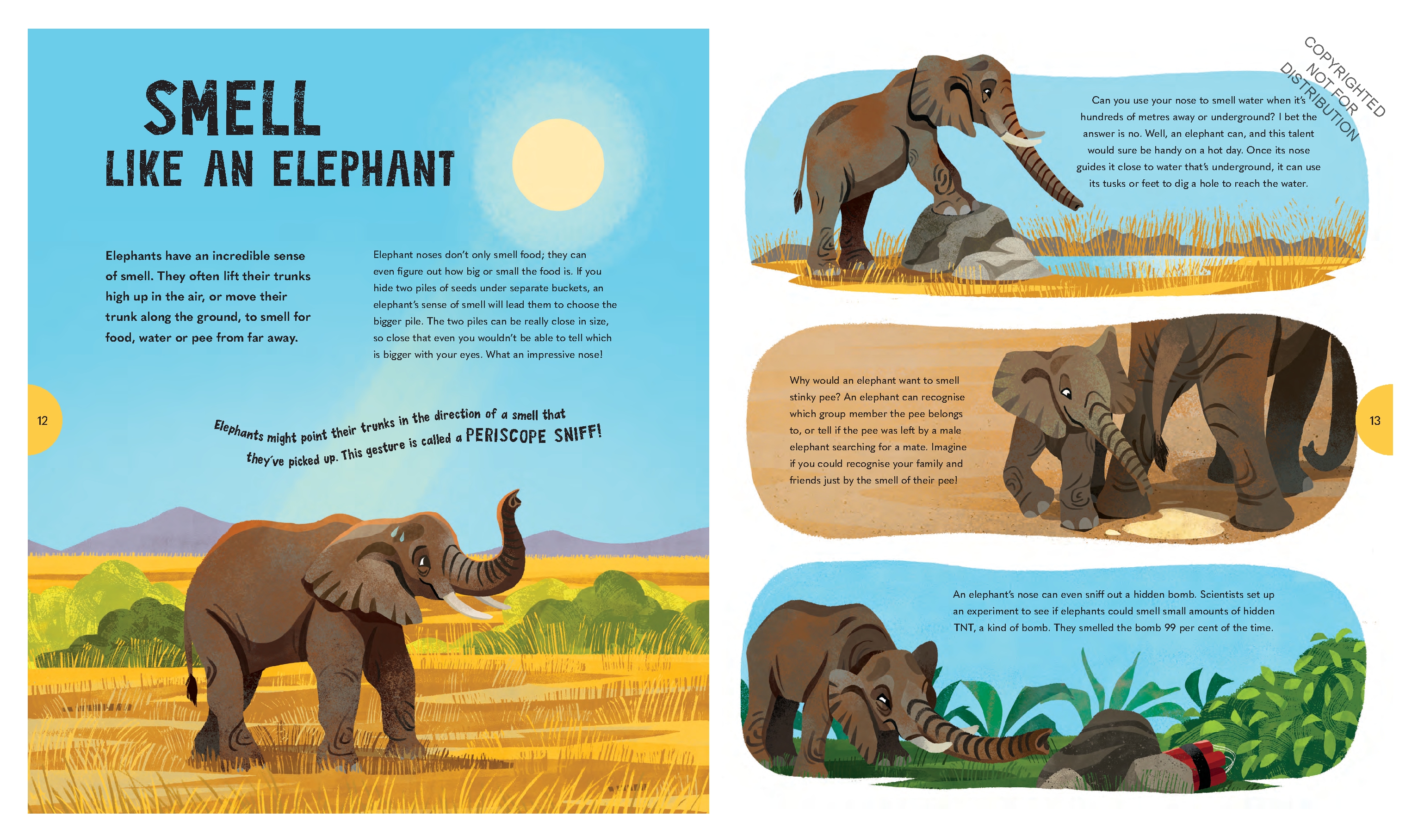 Extraordinary Elephants