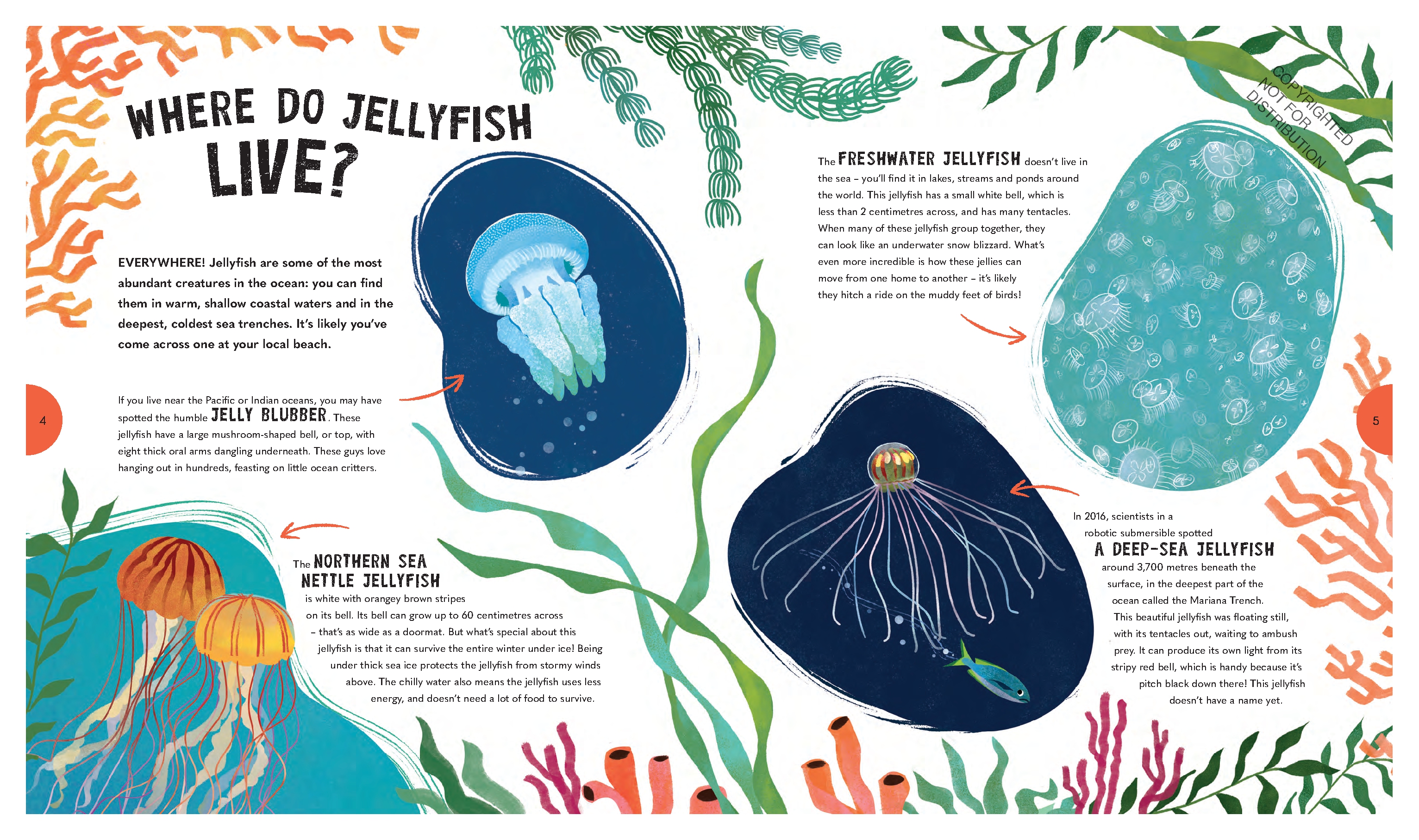 Jiggliest Jellyfish