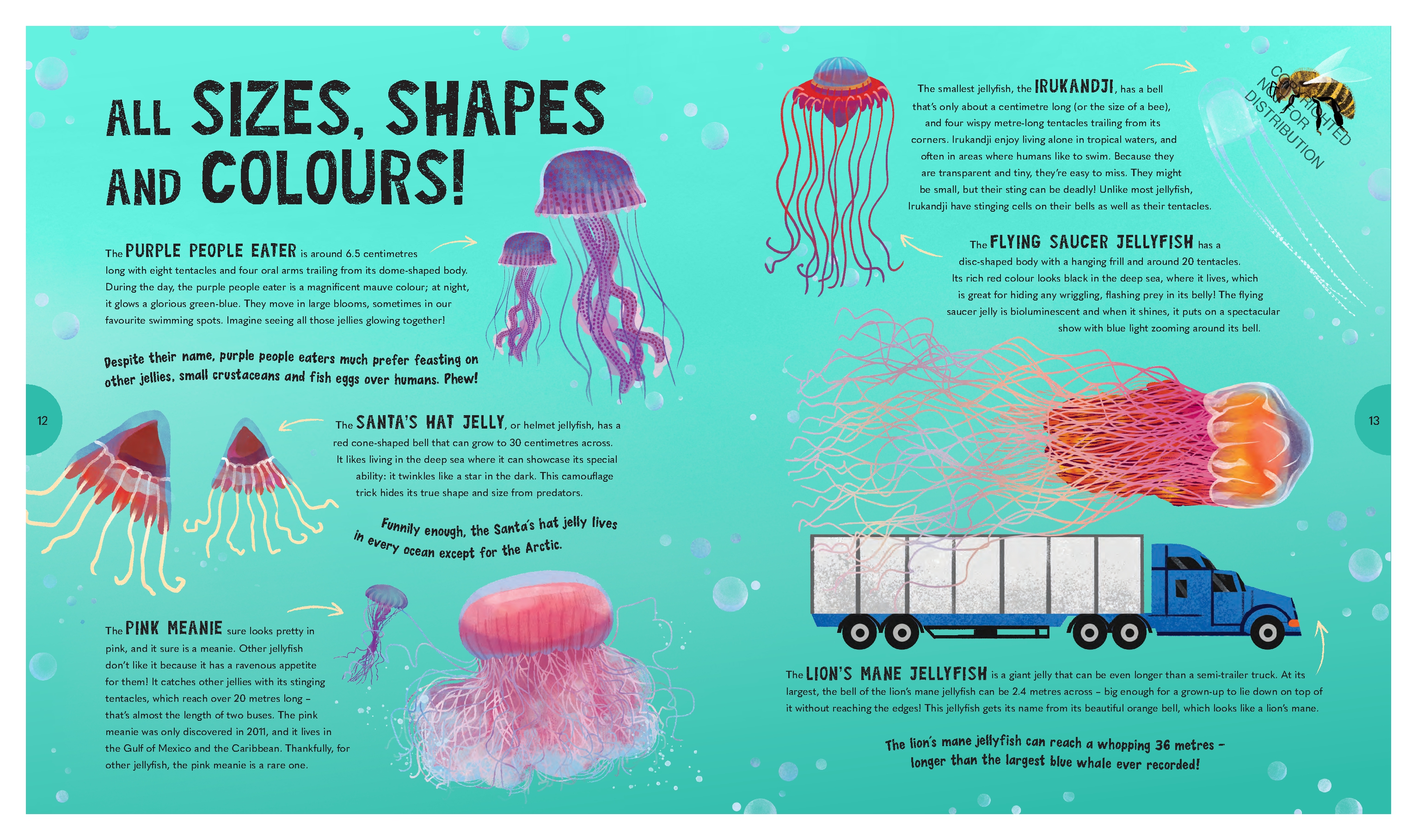 Jiggliest Jellyfish