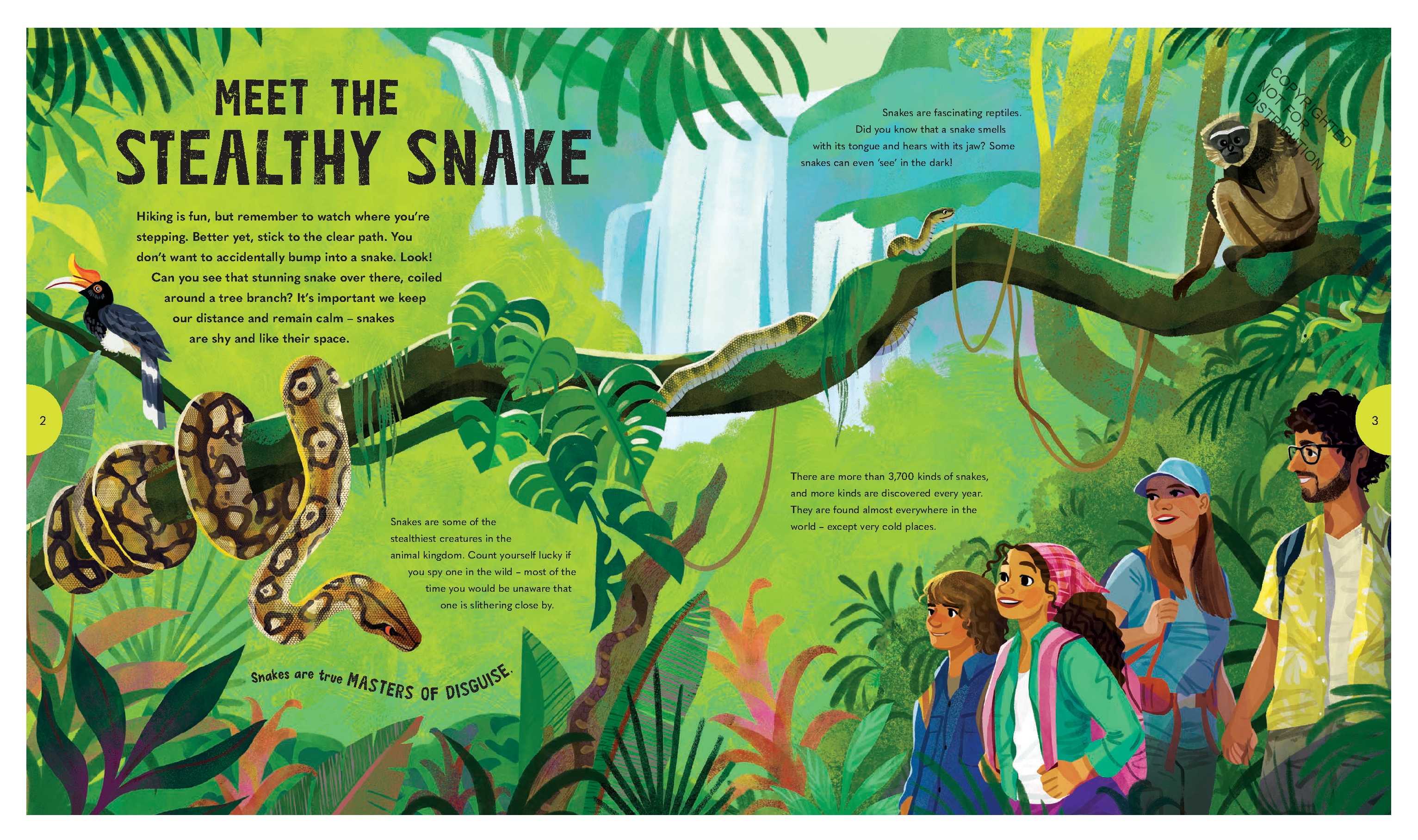 Spectacular Snakes