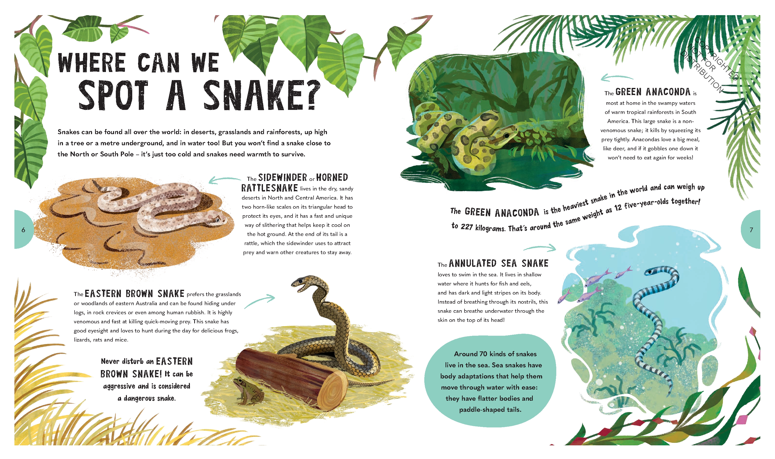 Spectacular Snakes
