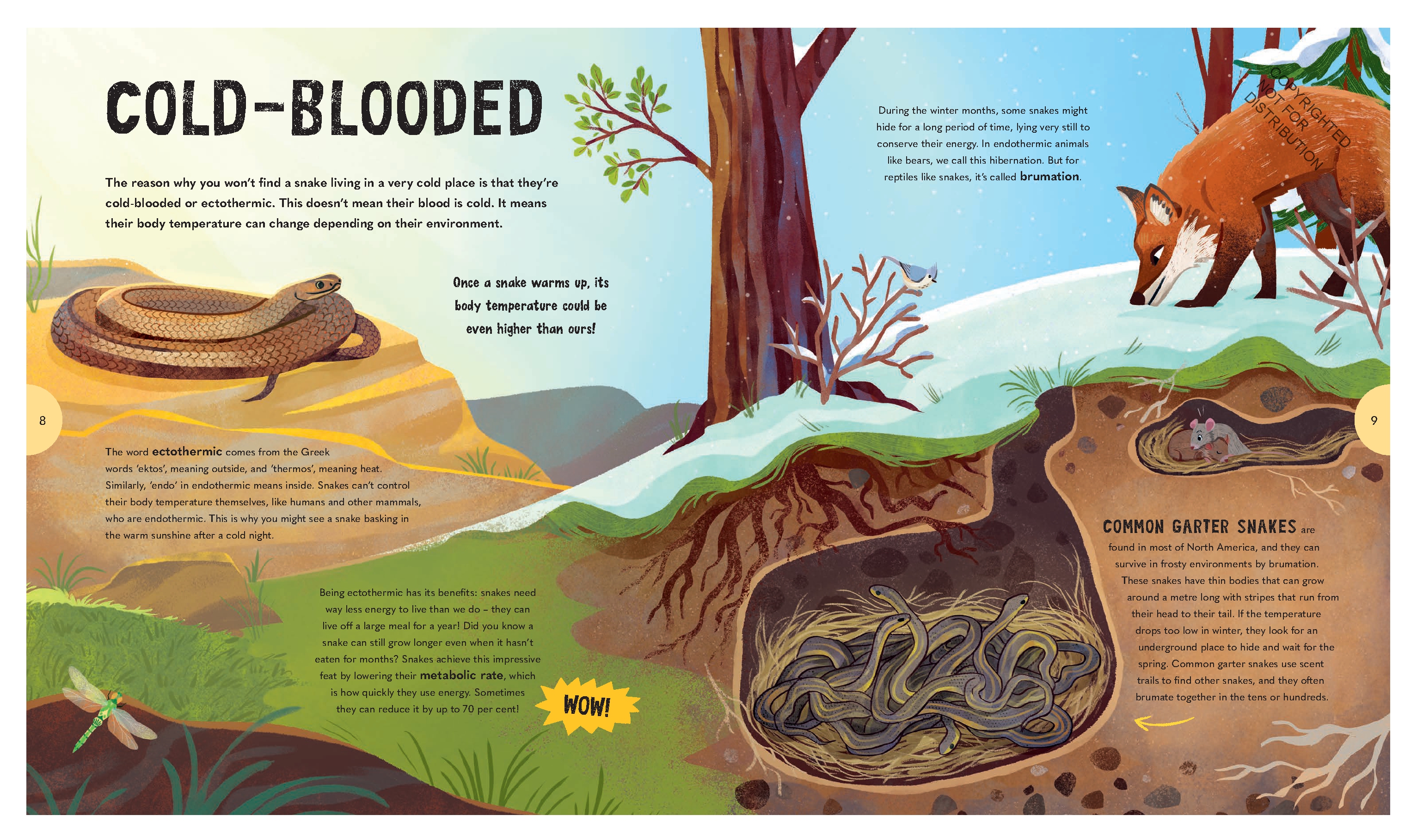 Spectacular Snakes