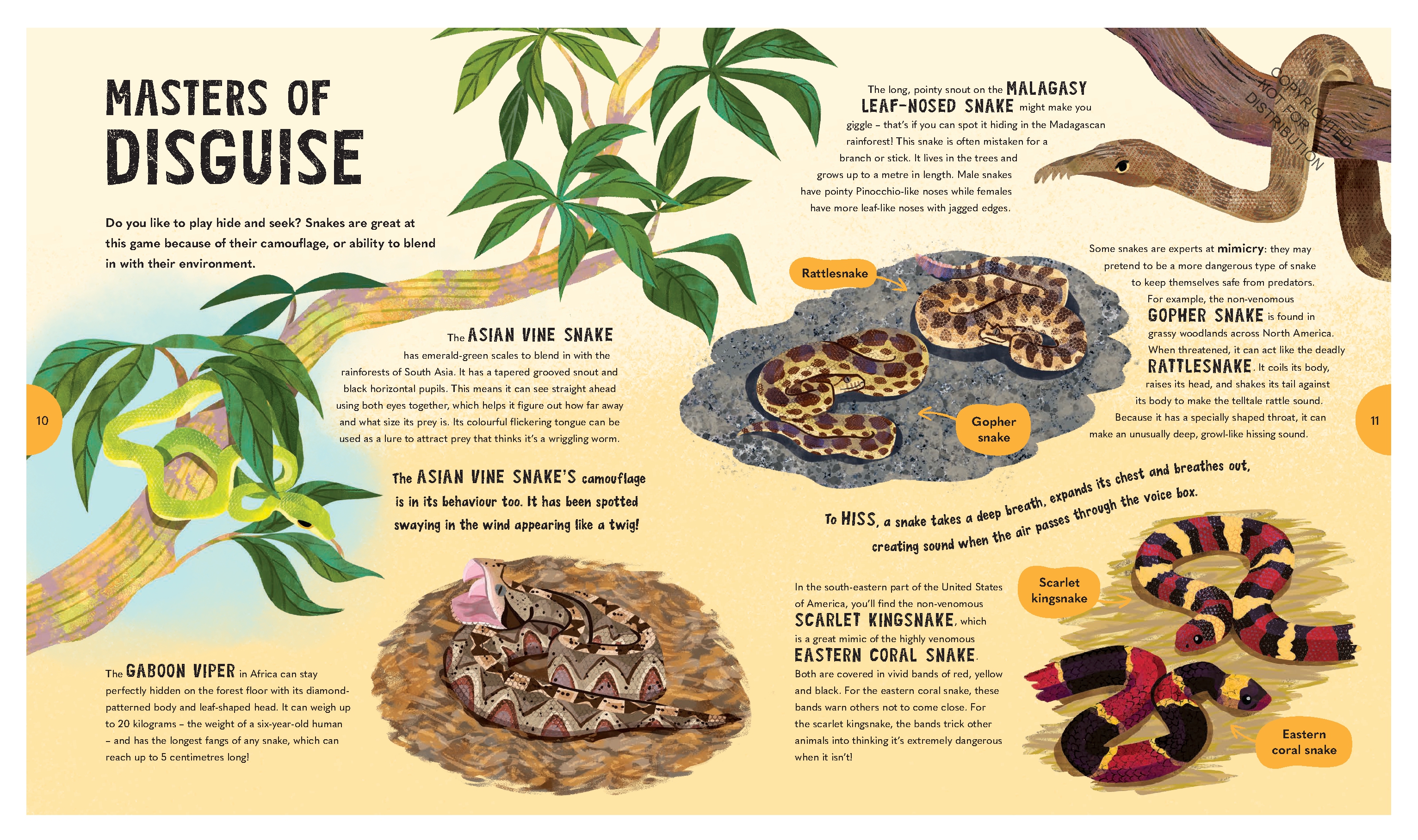 Spectacular Snakes
