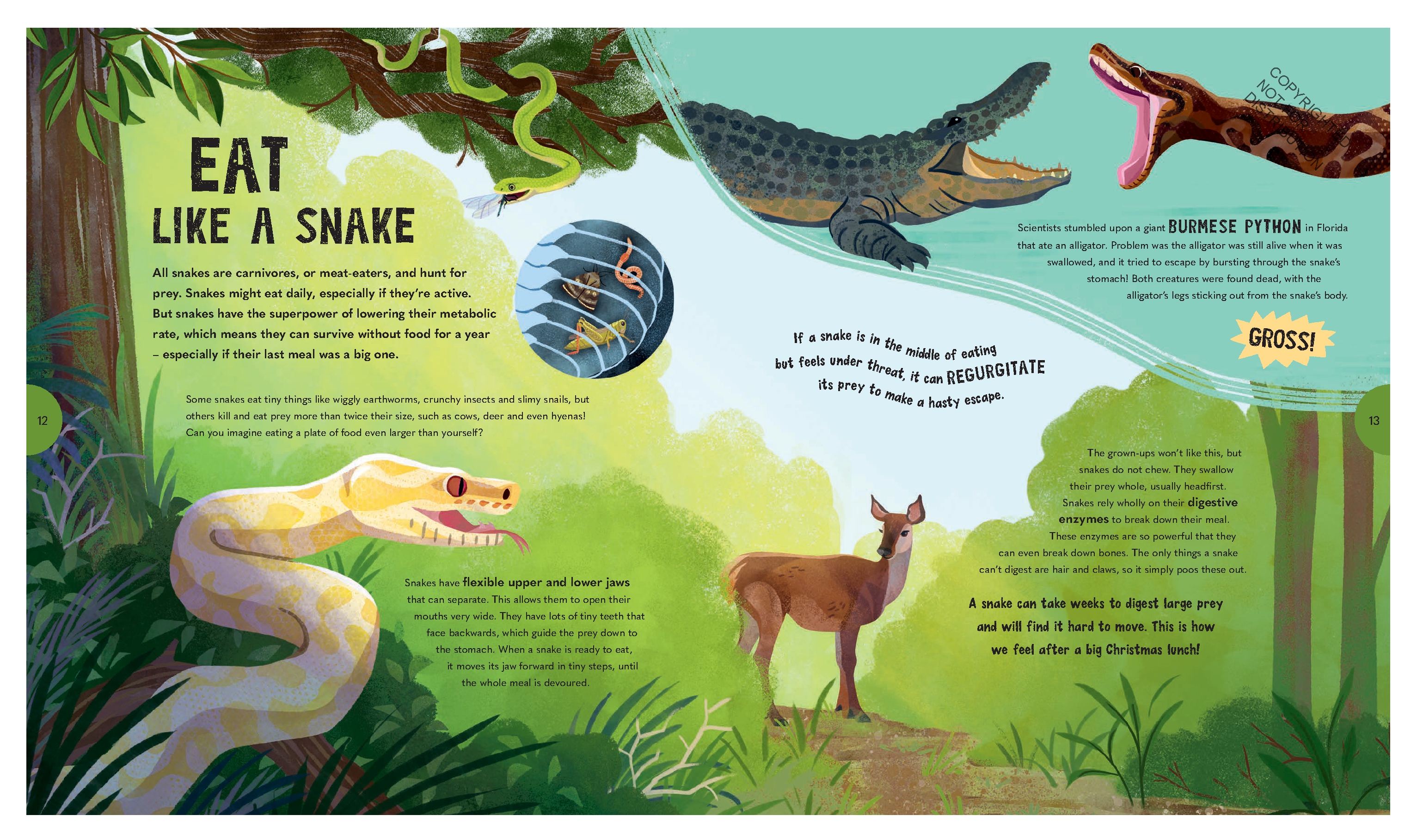 Spectacular Snakes