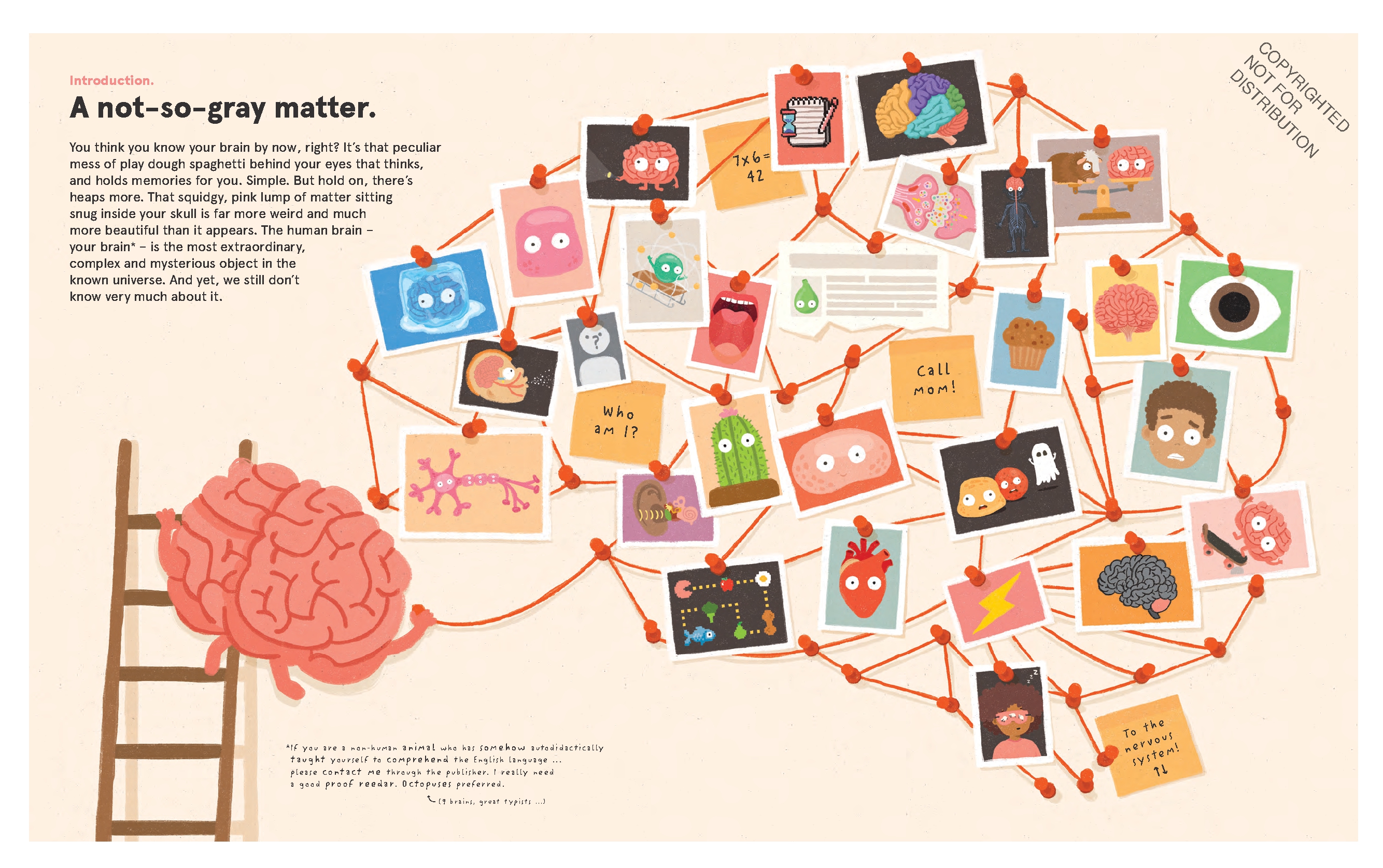 Your Brilliant Brain
