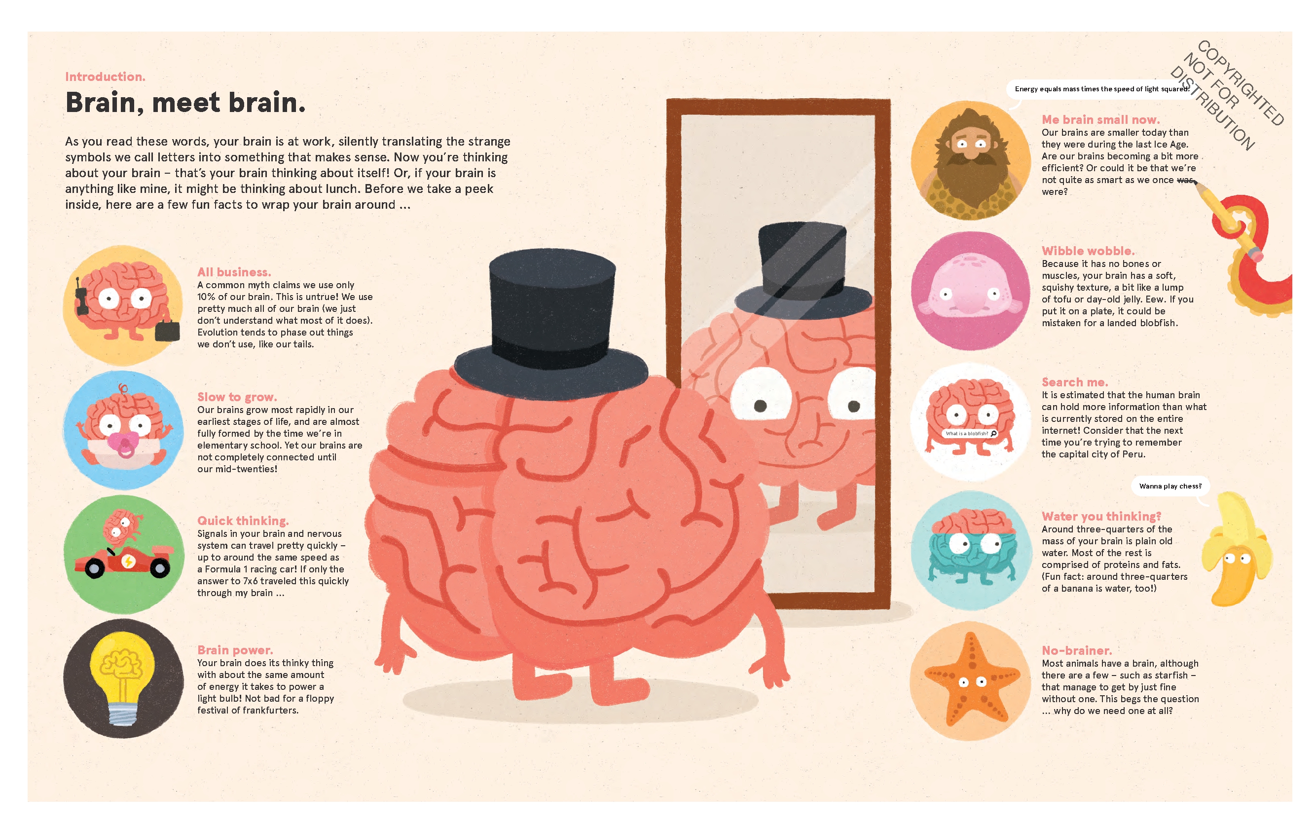 Your Brilliant Brain
