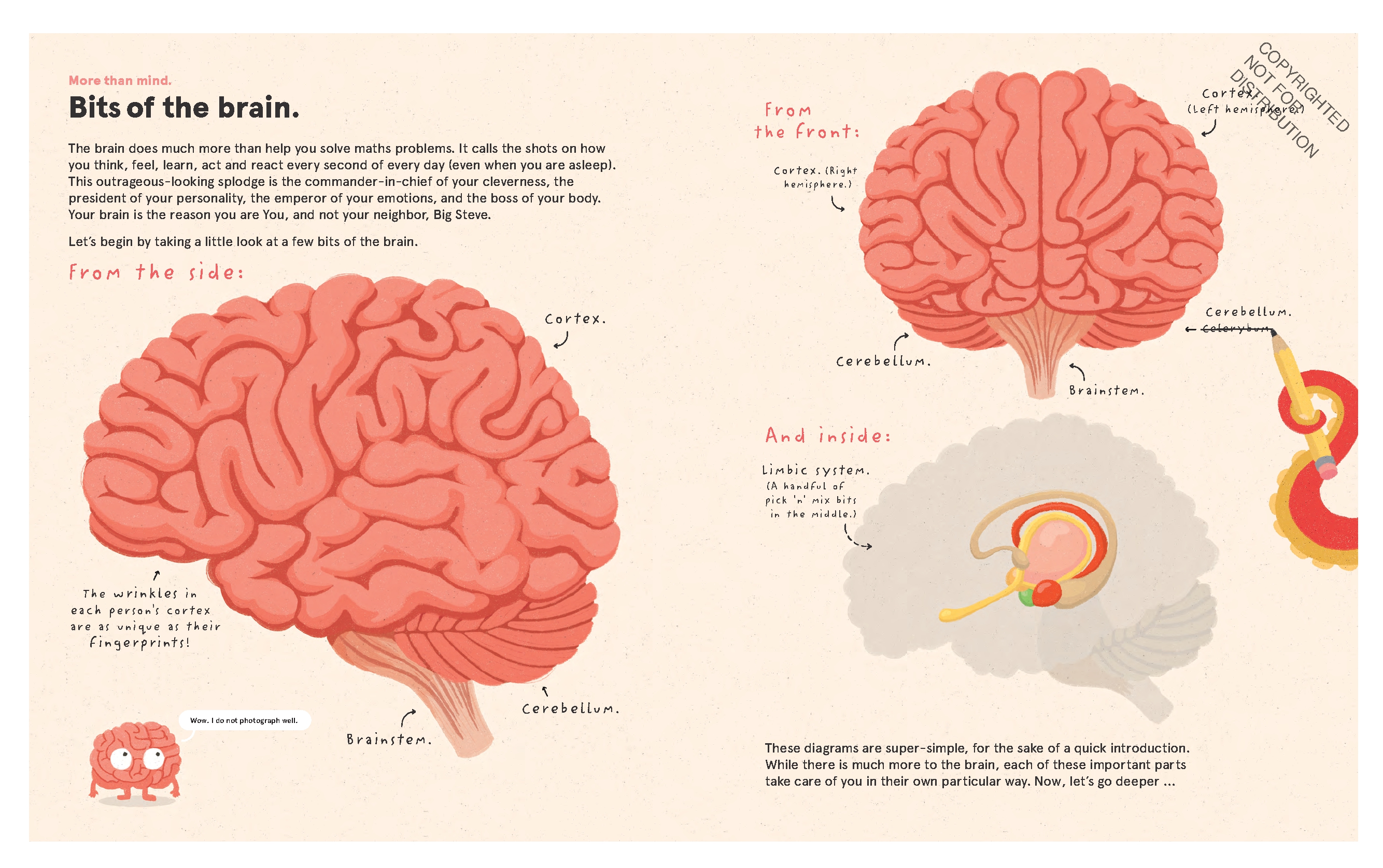 Your Brilliant Brain