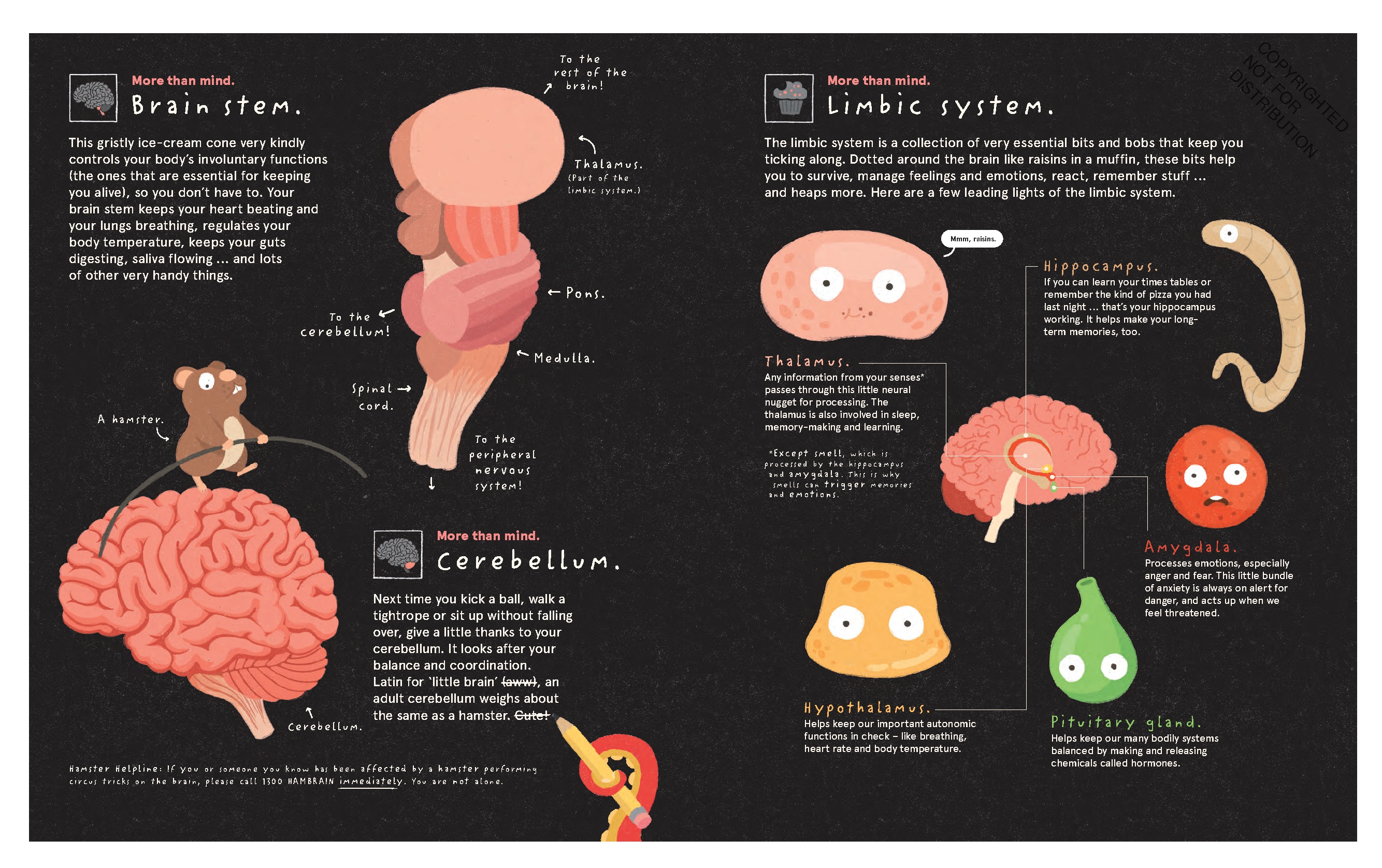 Your Brilliant Brain