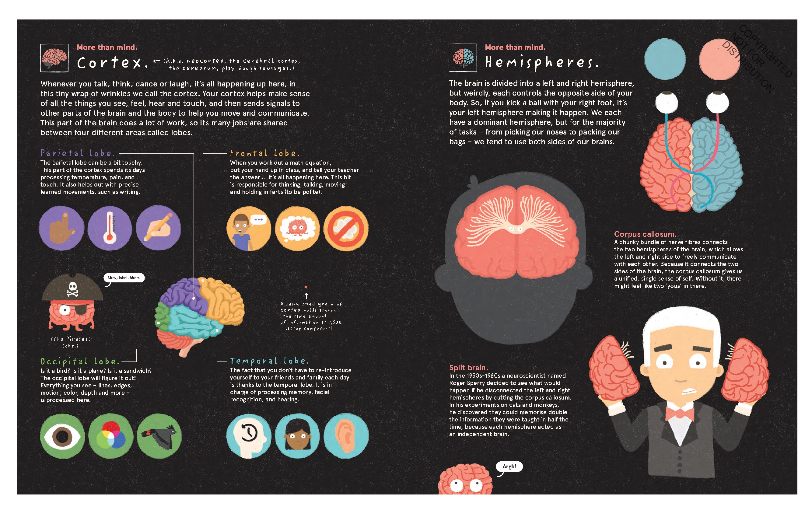 Your Brilliant Brain