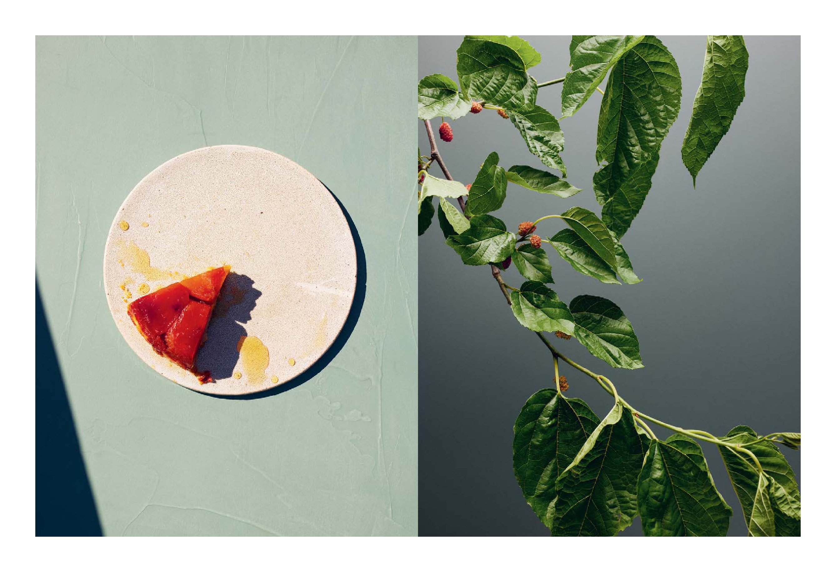 Modern Australian Baking