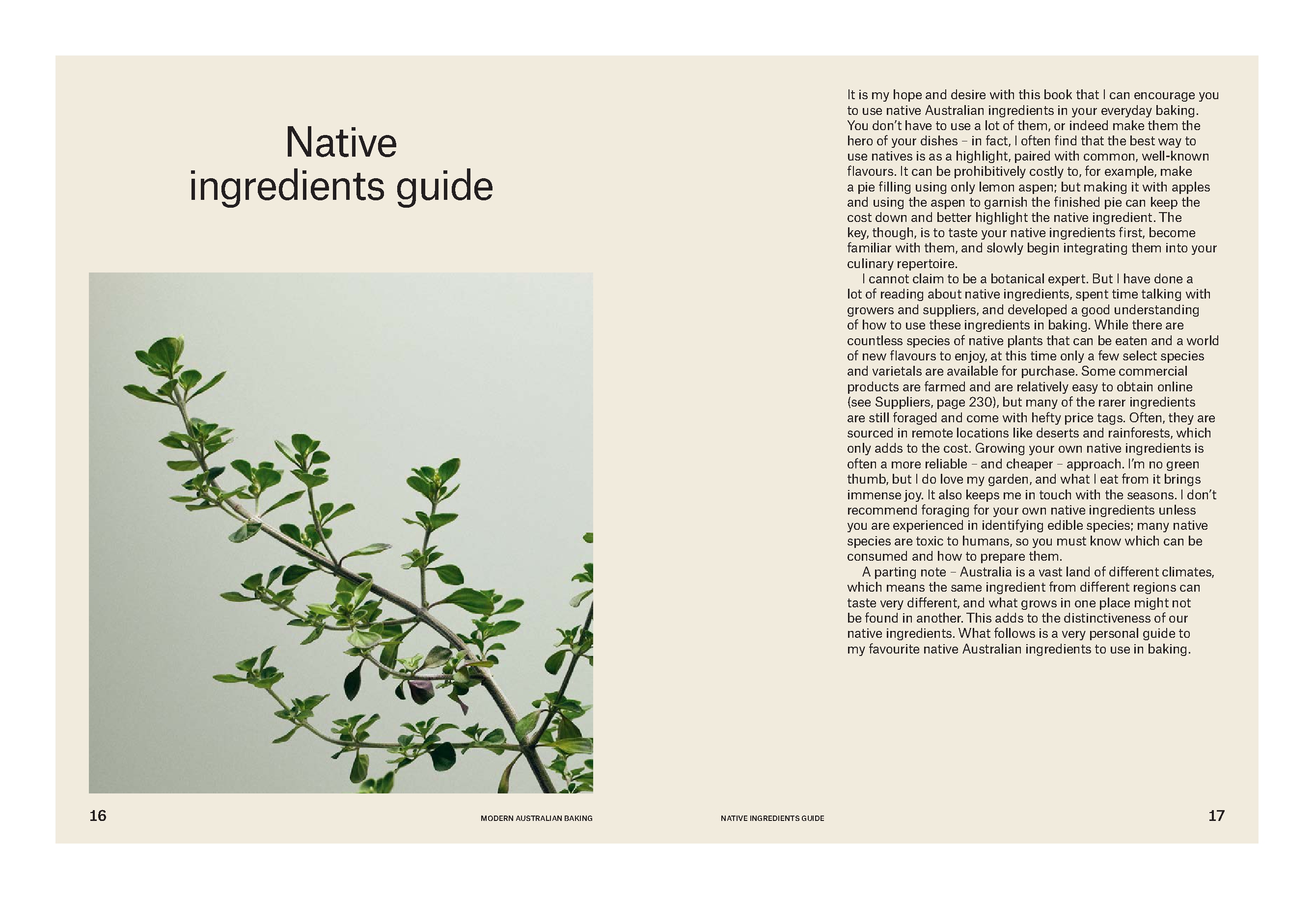 Modern Australian Baking