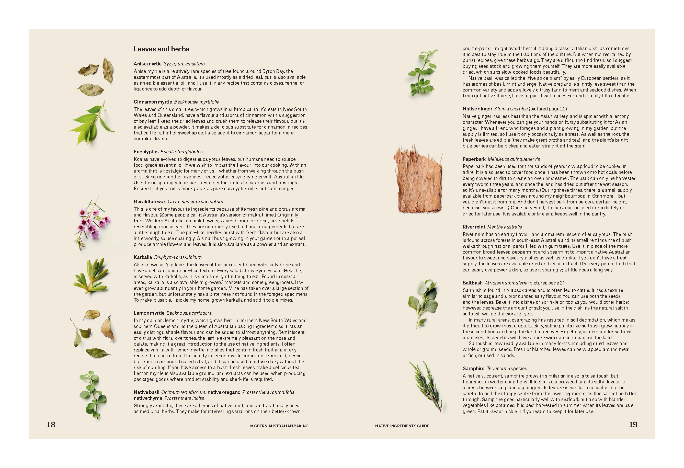 Modern Australian Baking