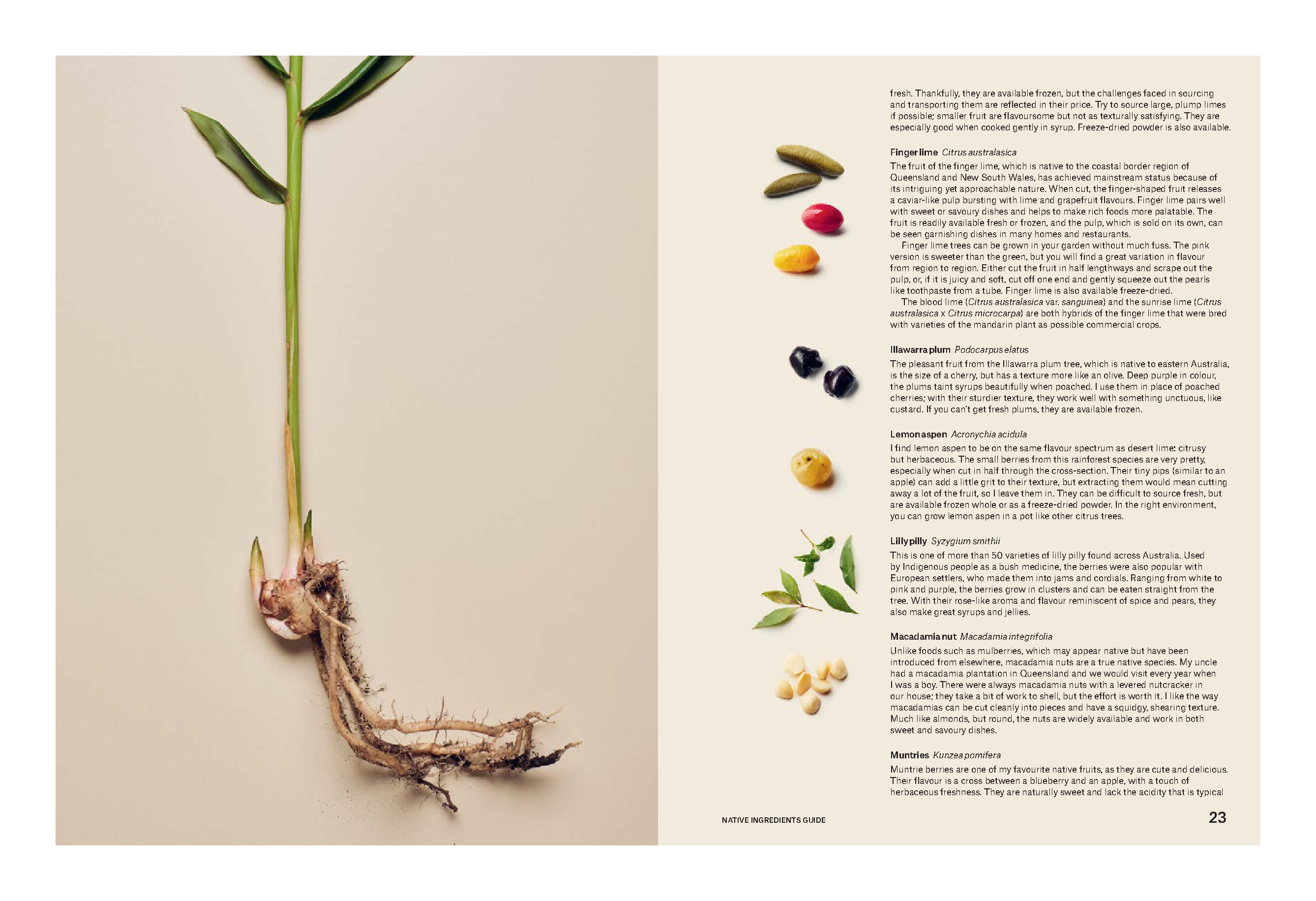 Modern Australian Baking