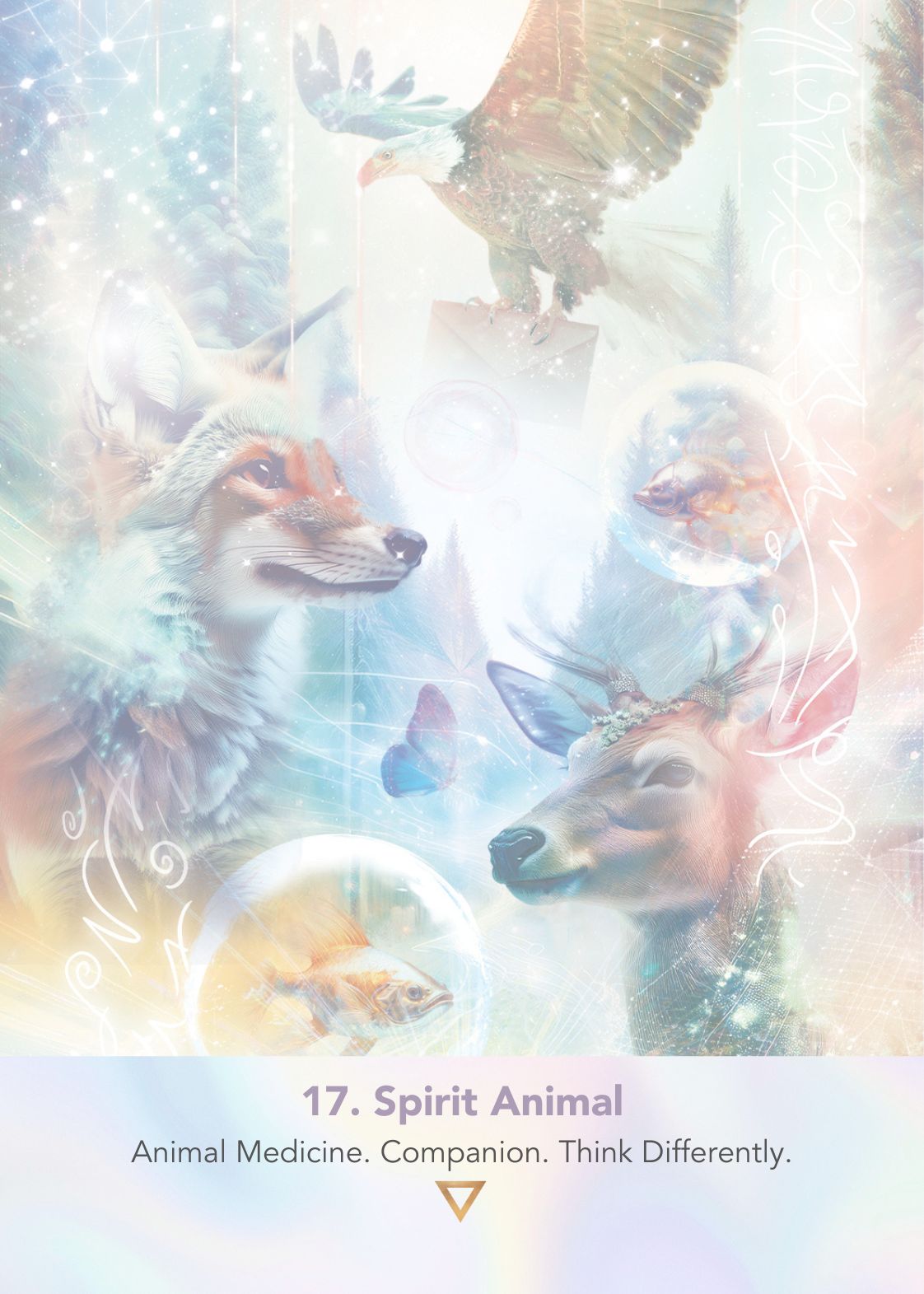 LightWeb Oracle Deck