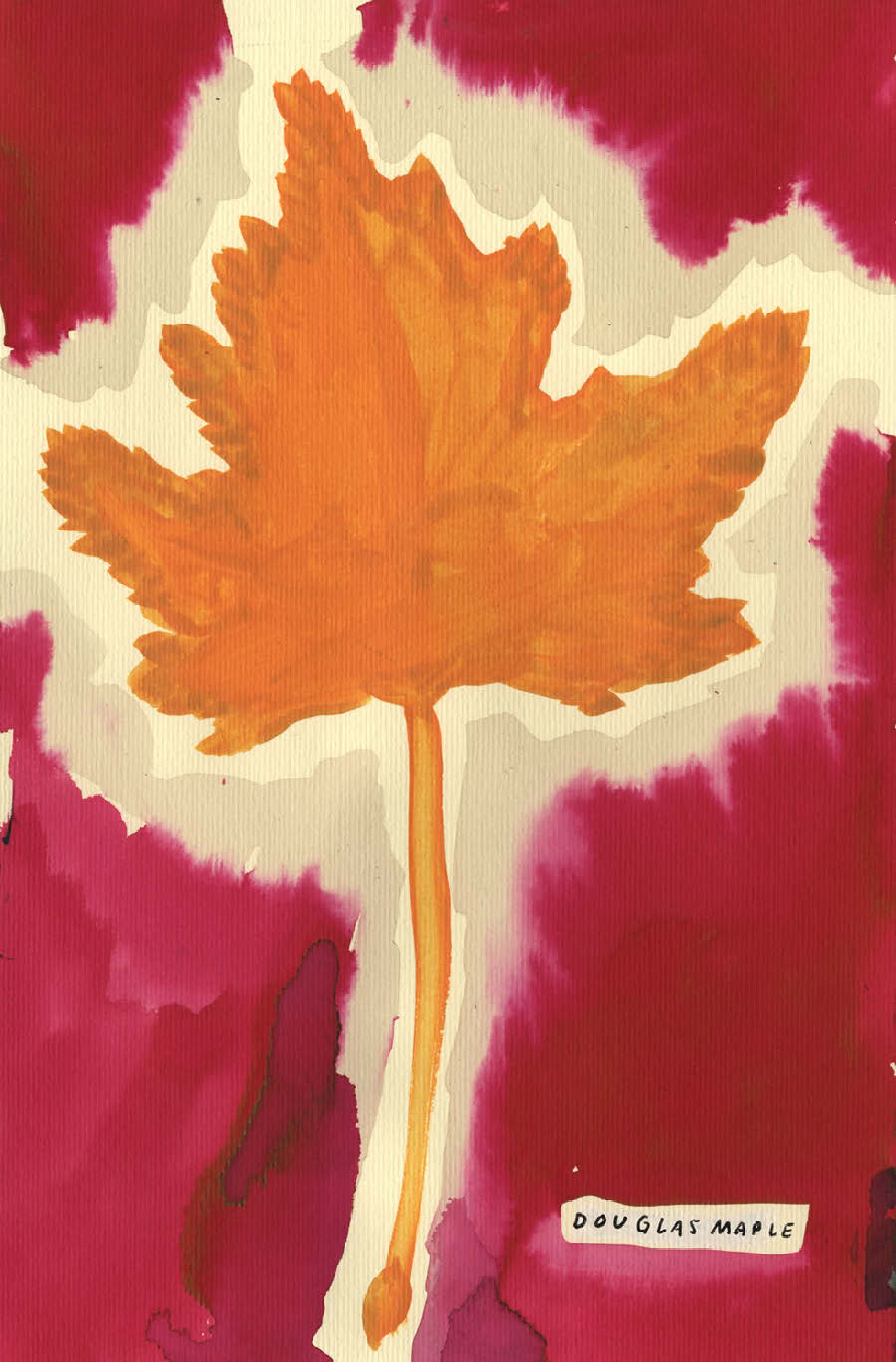 Native Trees of Canada: A Postcard Set