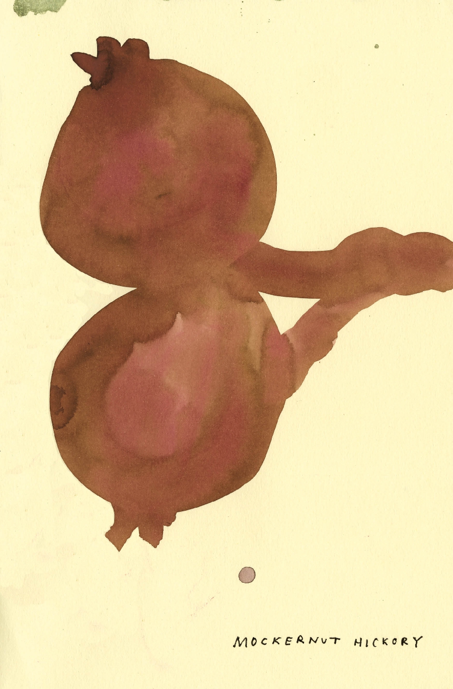 The Native Trees of Canada