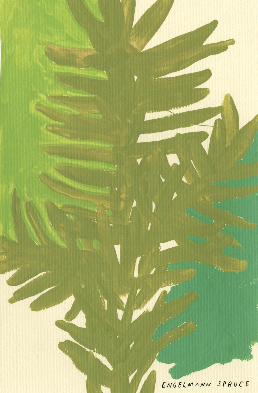 The Native Trees of Canada